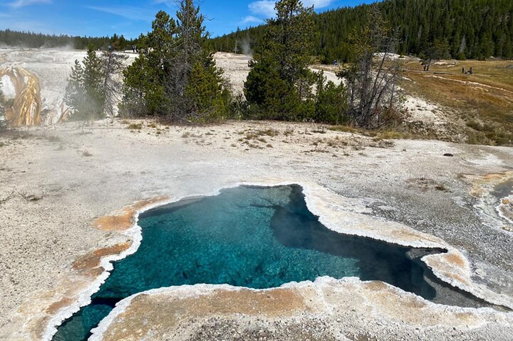 Yellowstone Women's Retreat 5 Night Expedition - Image 4
