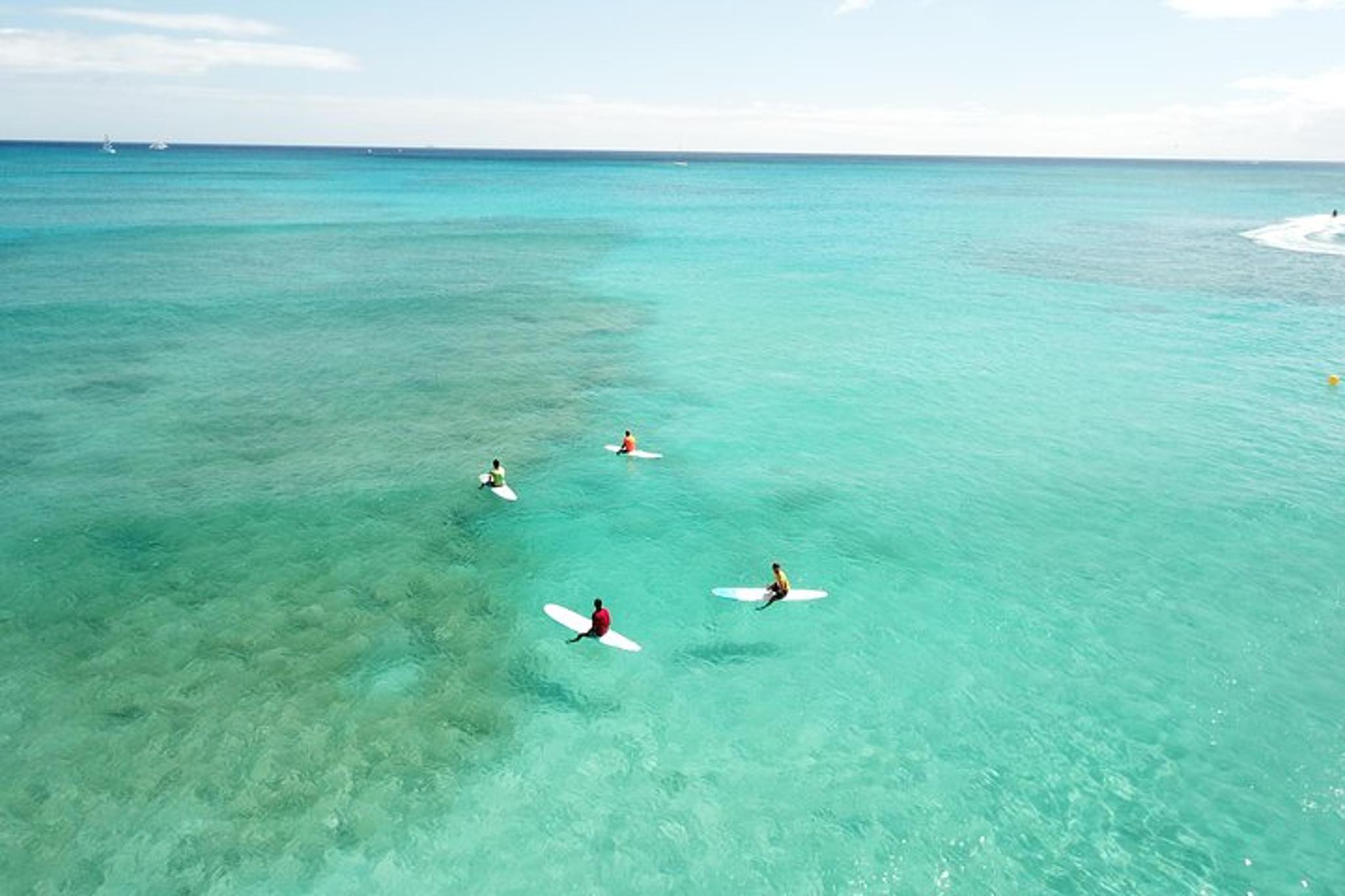 Waikiki Beach Surfing Lessons