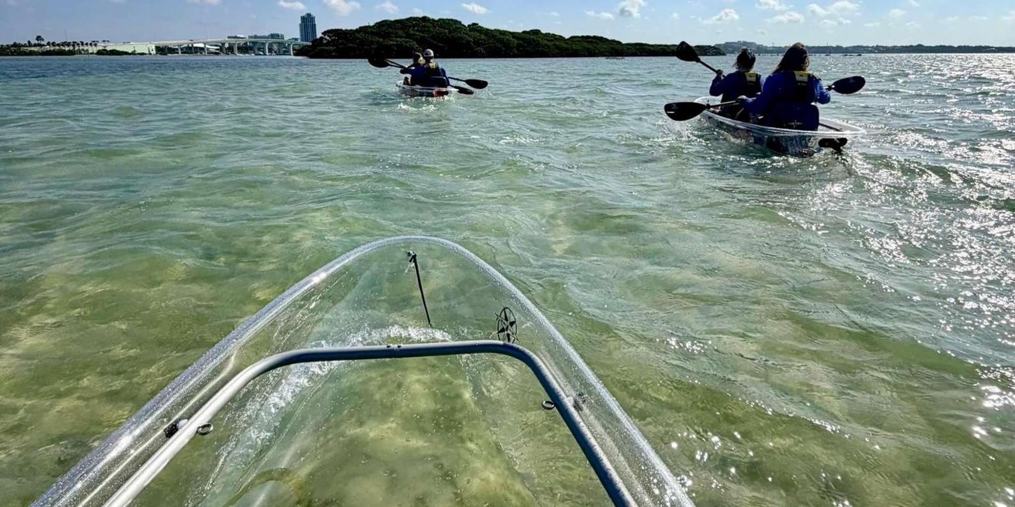 Clearwater Beach Clear Kayak Tour - Image 5