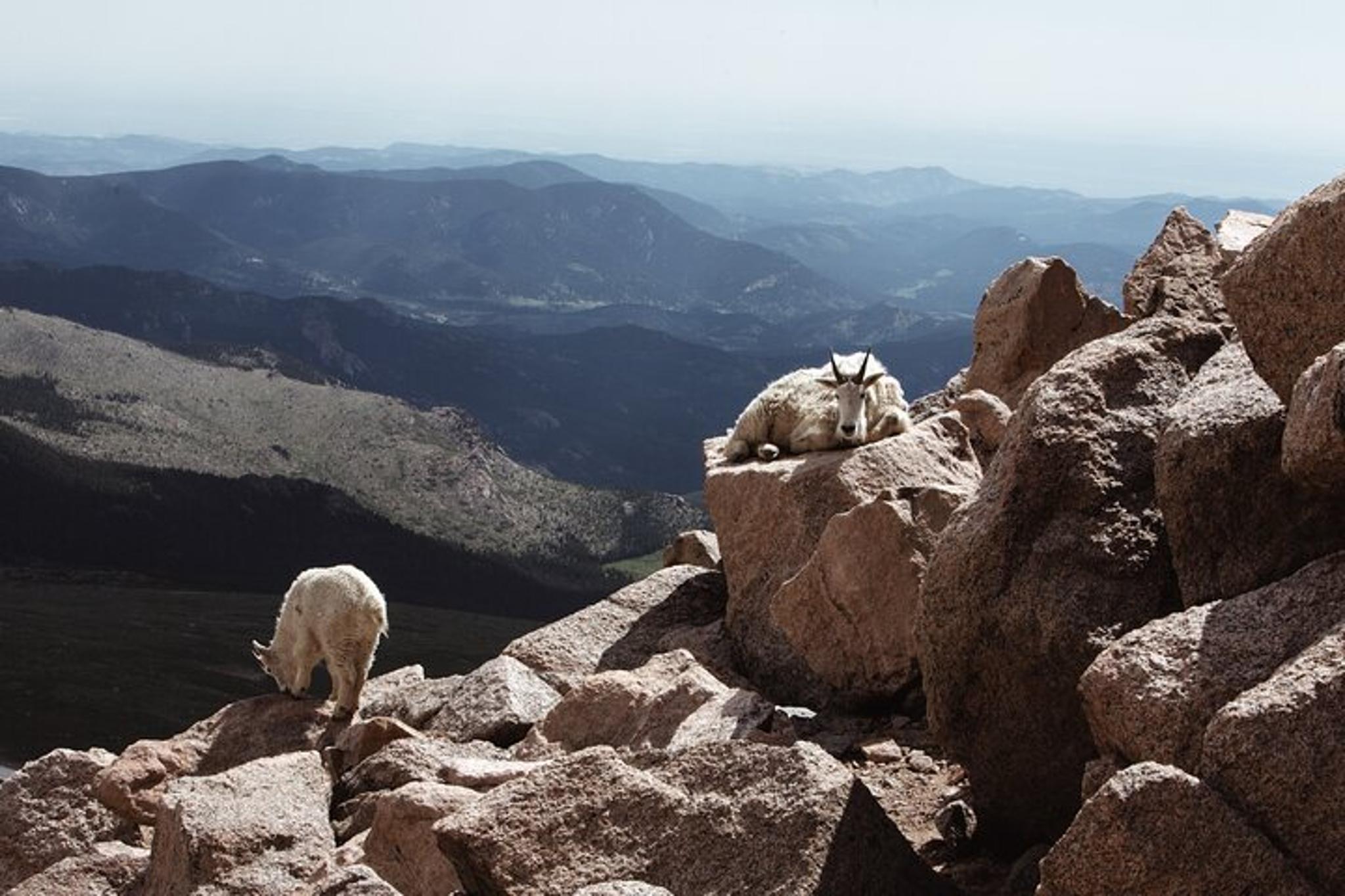 Denver Alpine Summit & Red Rocks Tour