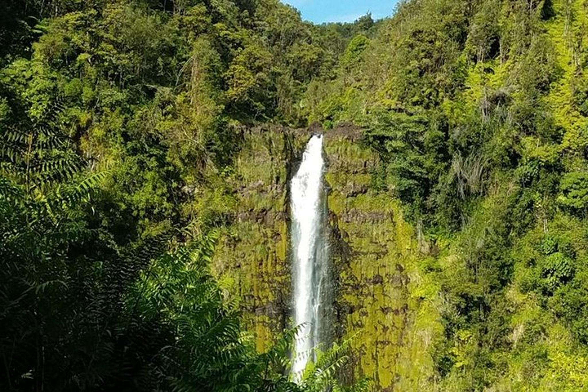 Kona Private Van Tour - Image 6