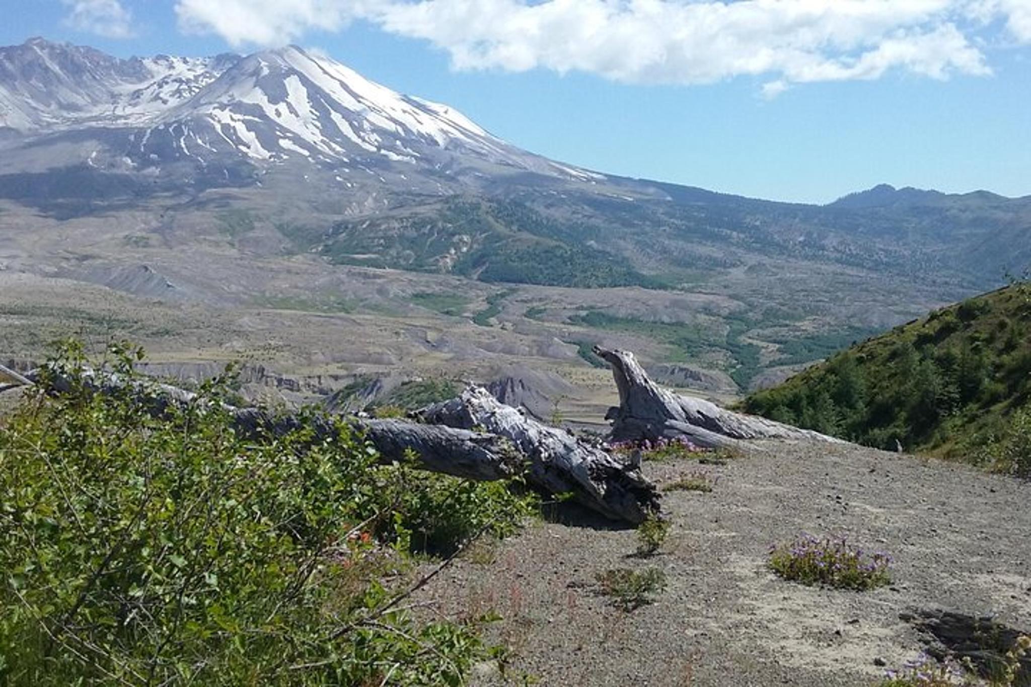 Mt St Helens Day Trip - Image 1
