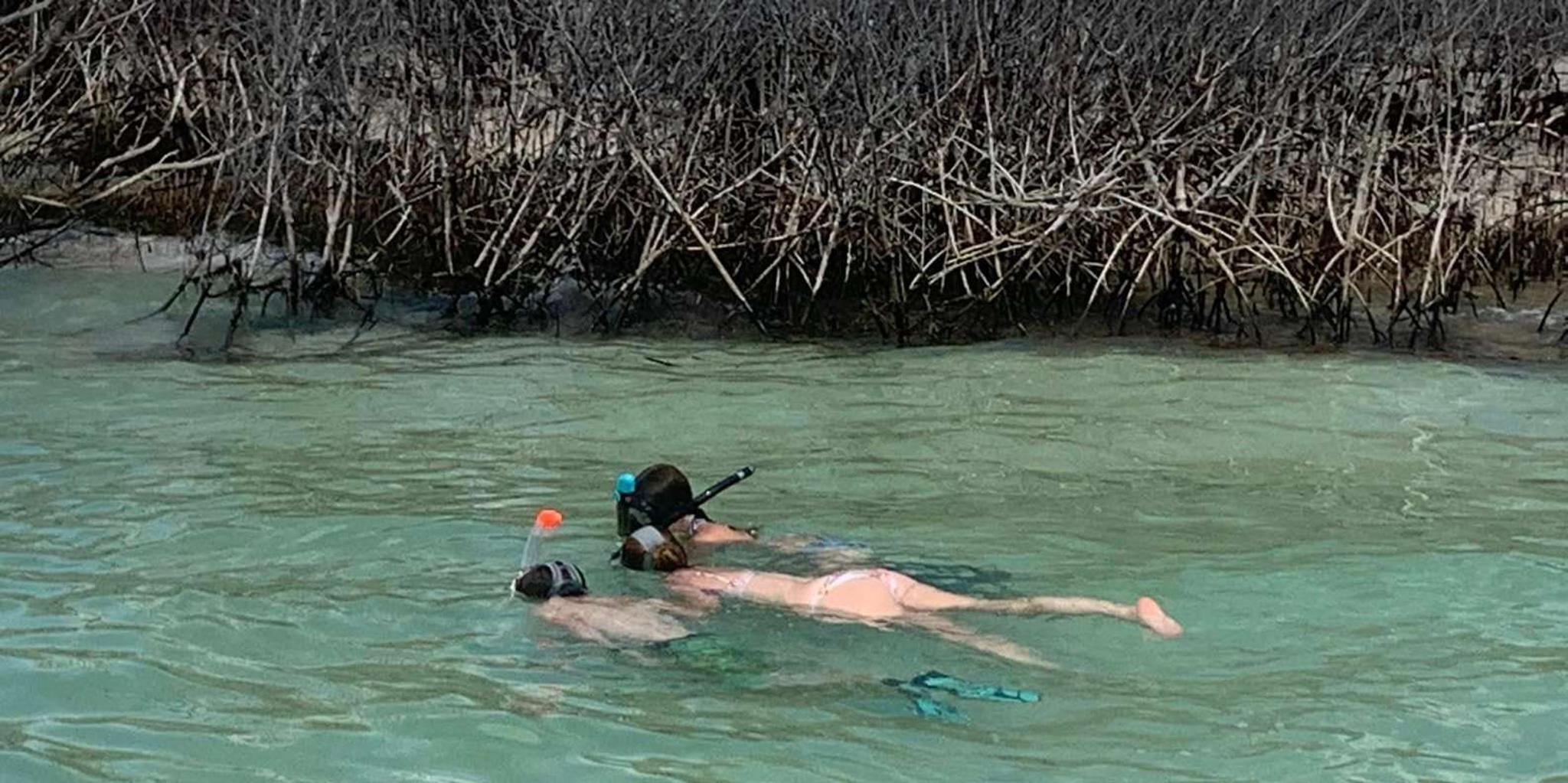 Clearwater Beach Private Pontoon Tour - Image 4