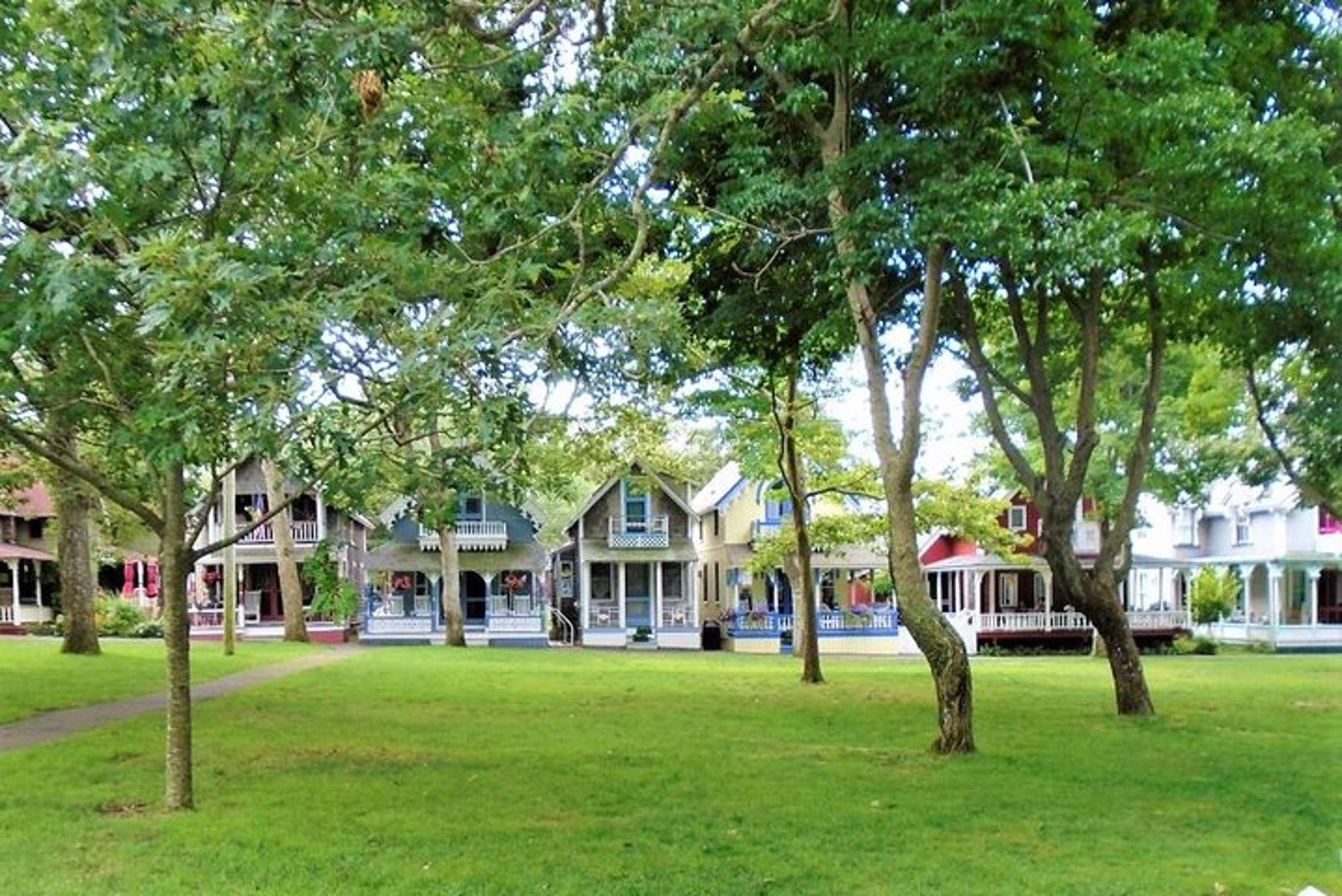 Martha's Vineyard Island Tour from Oak Bluffs - Image 6