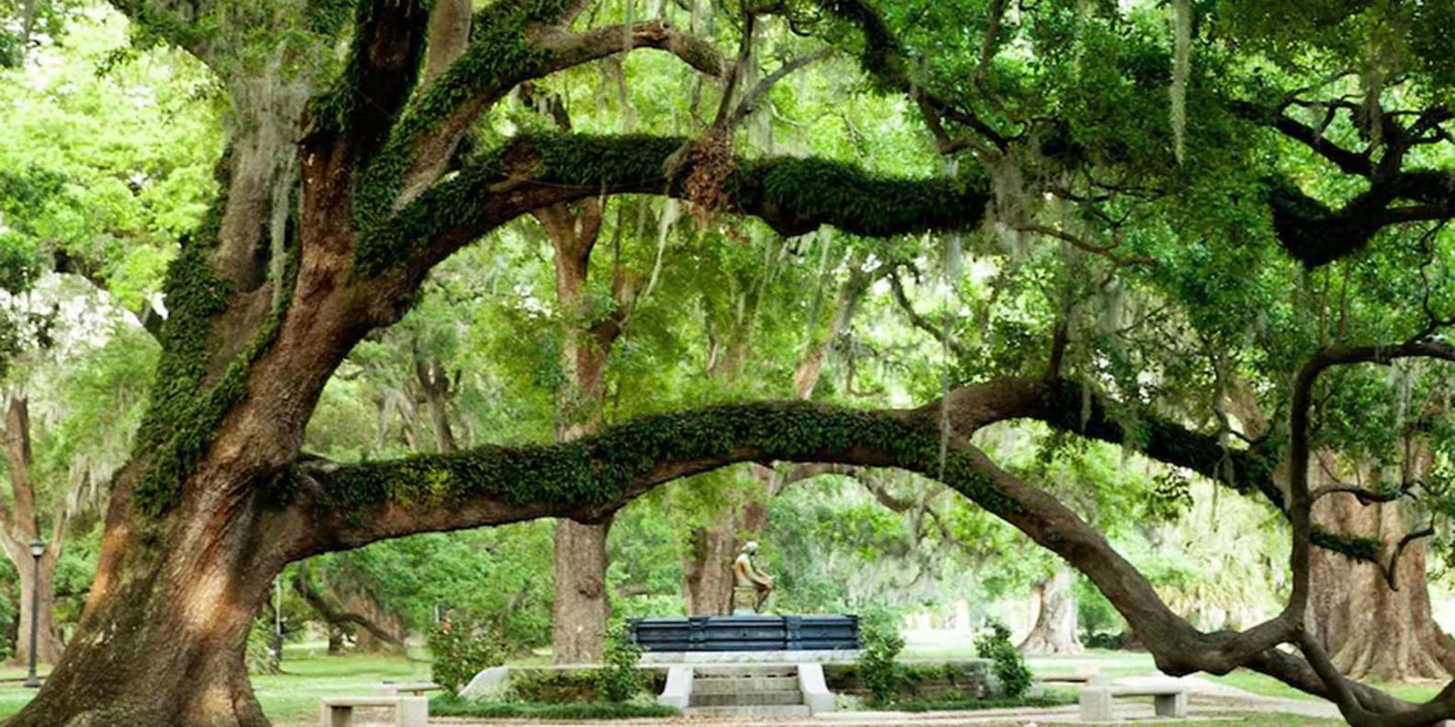New Orleans City and Cemetery Tour with Garden District Stroll - Image 5