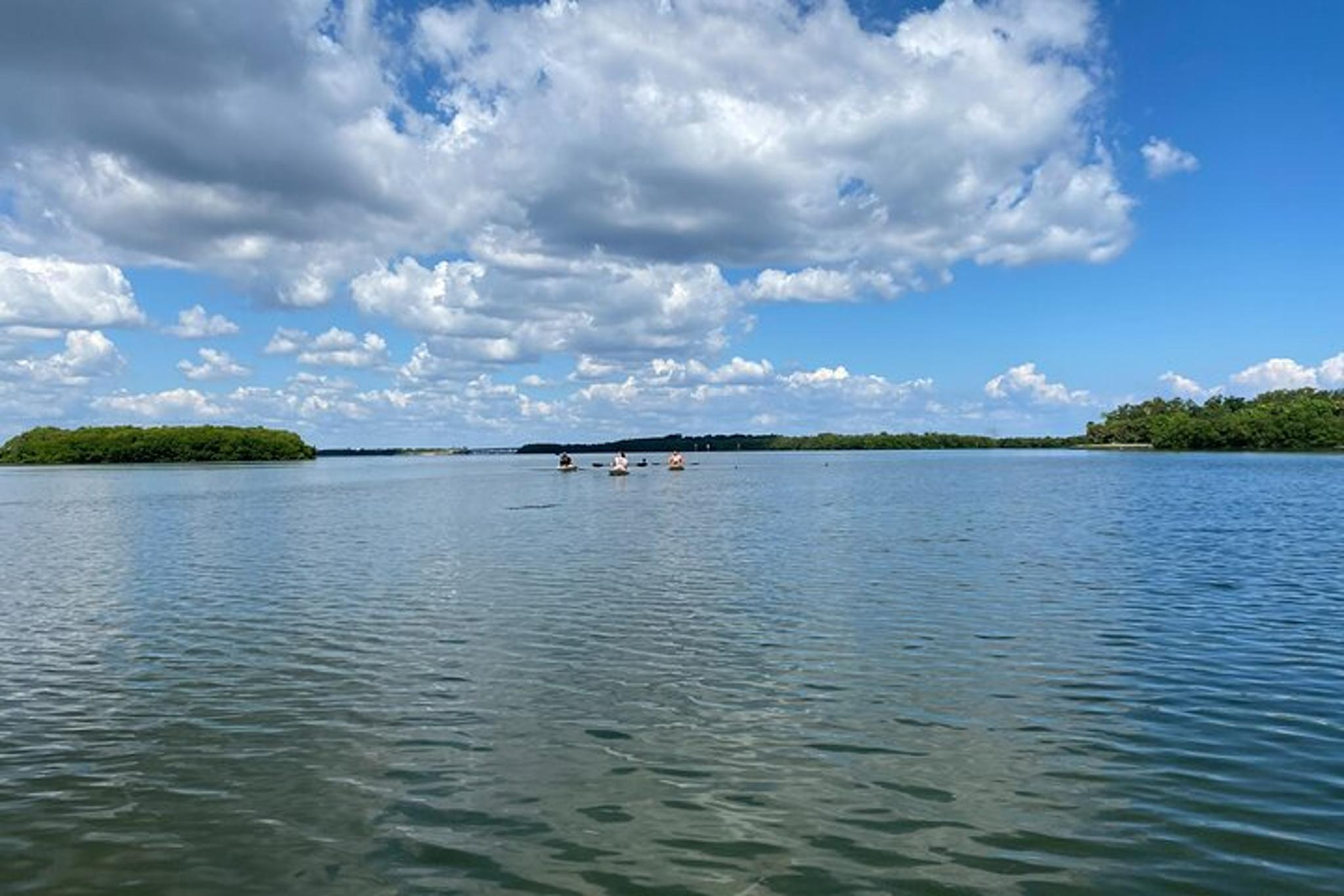 Tierra Verde Kayak Adventure at Shell Key Preserve - Image 5
