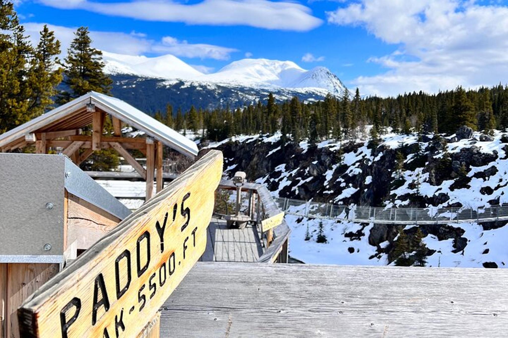 Skagway Suspension Bridge Tour - Image 5