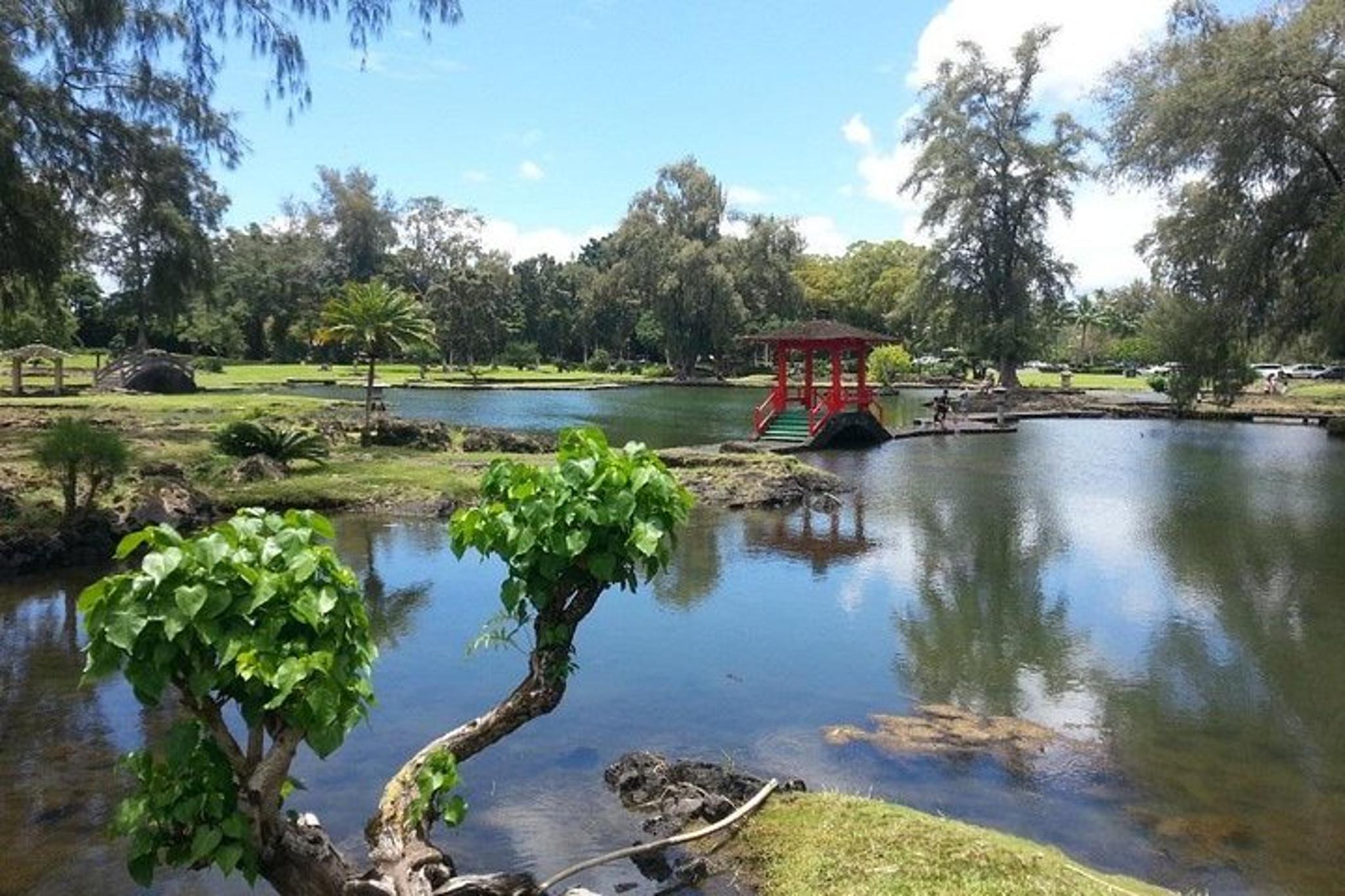 Hilo Volcano Adventure & Waterfall Tour - Image 4