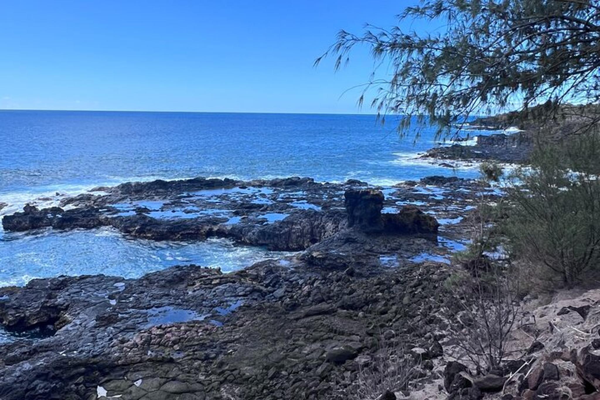 Kauai Canyons & Coastlines Tour - Image 5