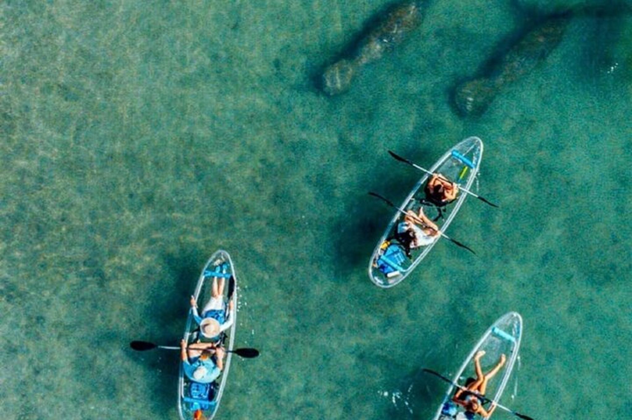 Palm Beach Clear Kayak Tour of Peanut Island