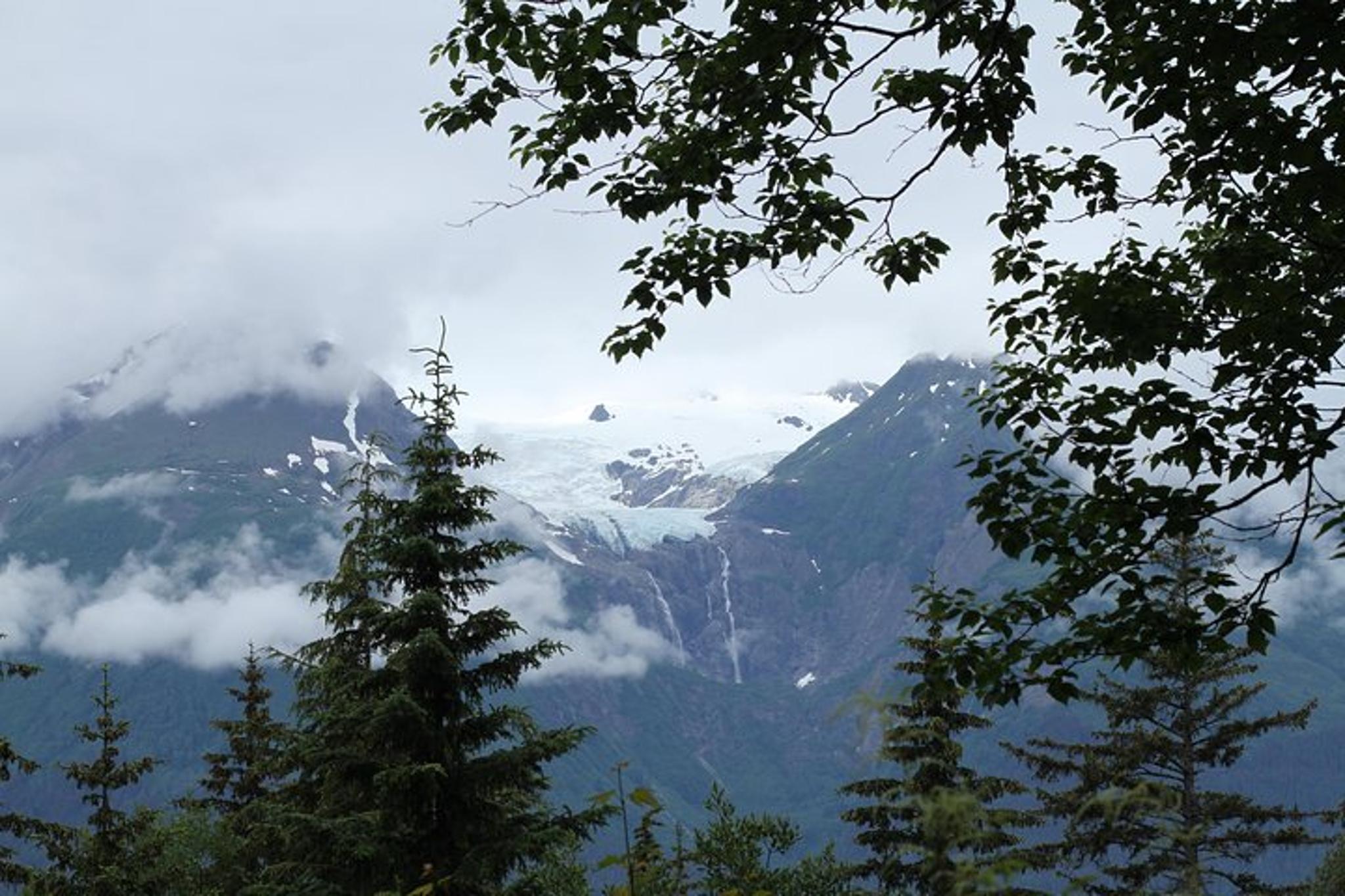 Haines Coastal Hike - Image 3