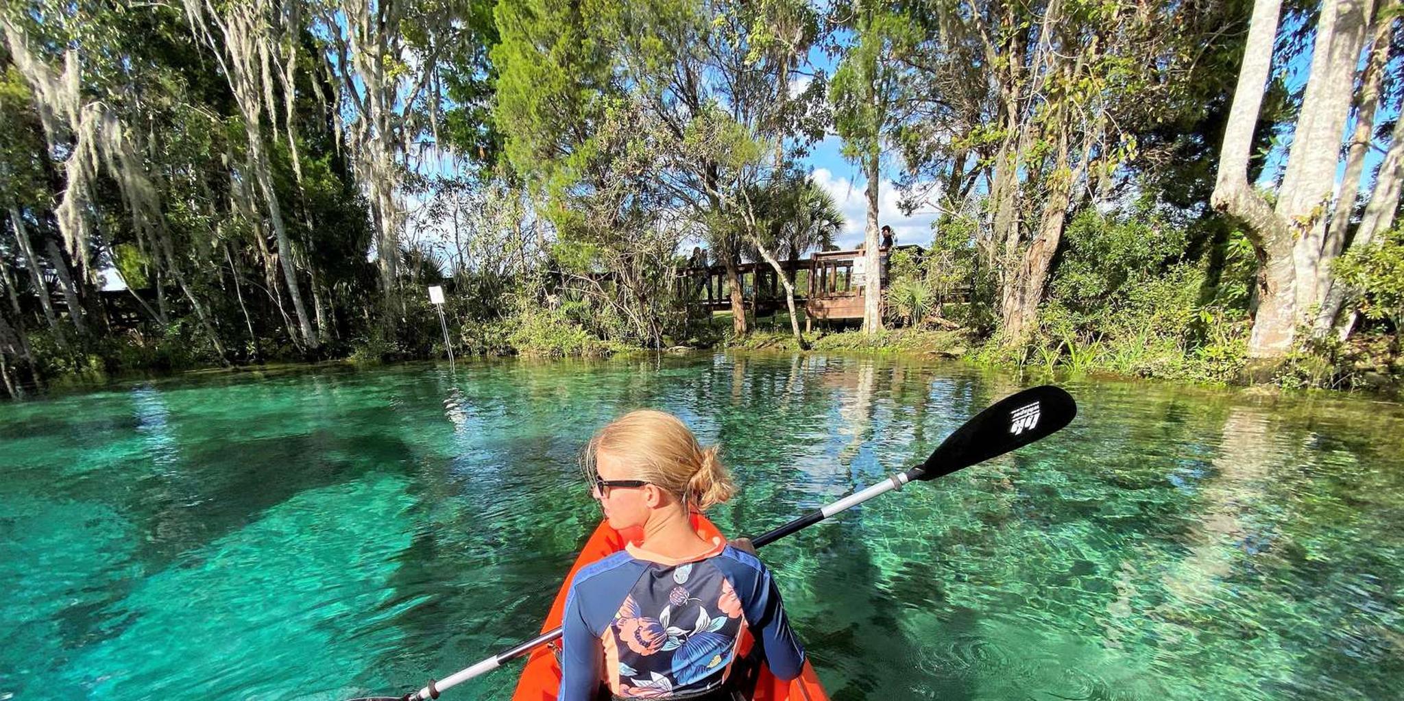 Crystal River Kayak and Swim Tour at Three Sisters Springs
