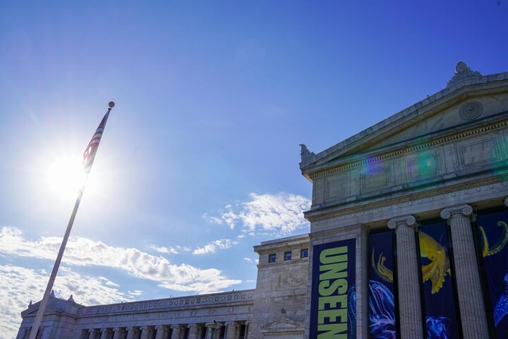 Chicago Field Museum Tour with Tickets - Image 3
