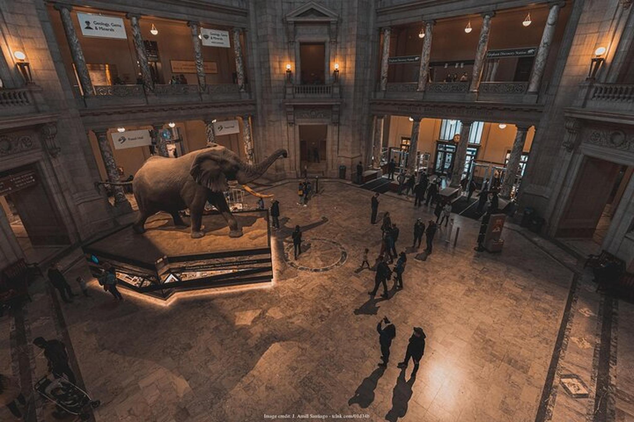 Washington DC Smithsonian Museums Private Tour