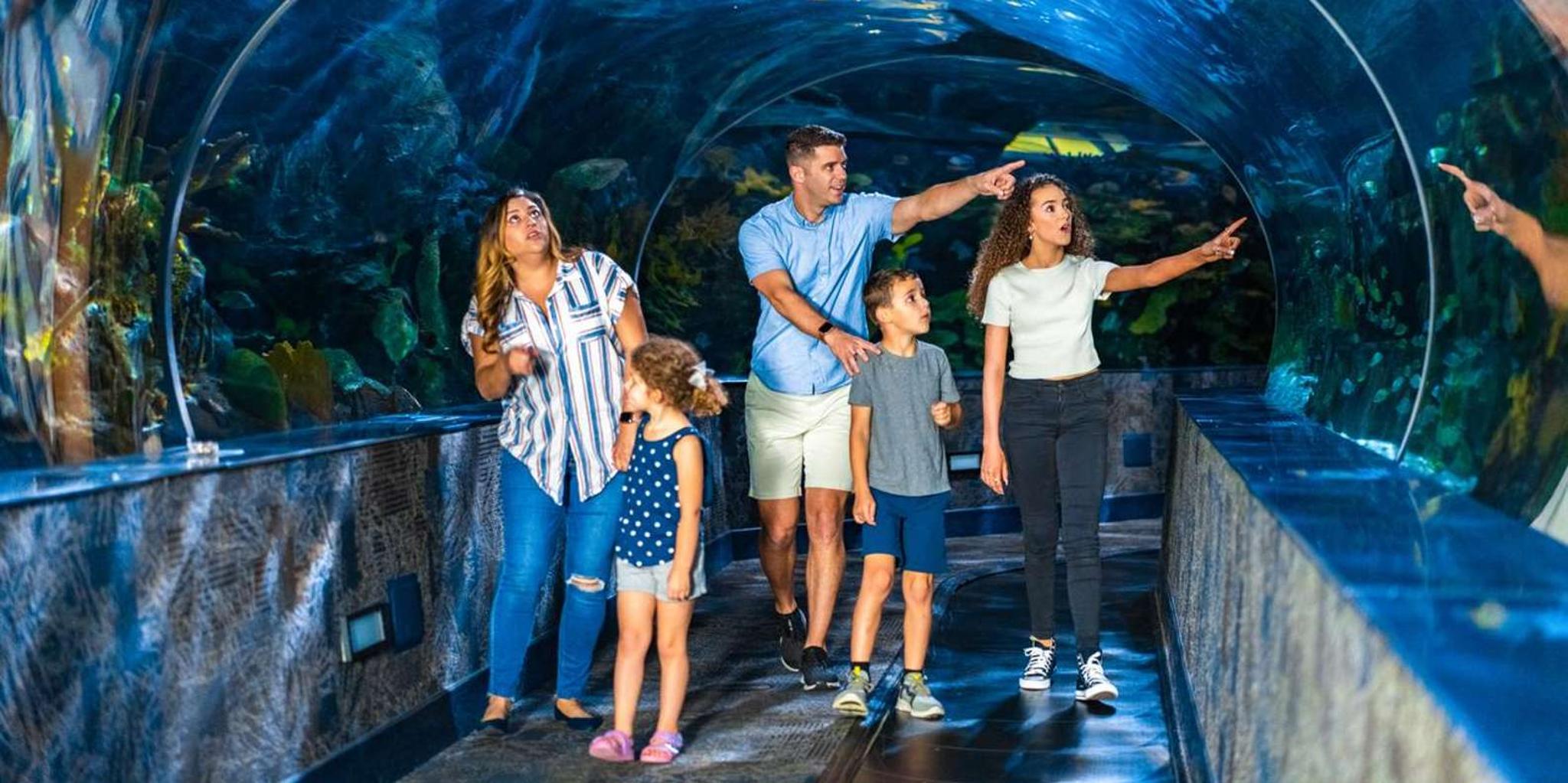 Gatlinburg Ripley's Aquarium & Combo Ticket - Image 4