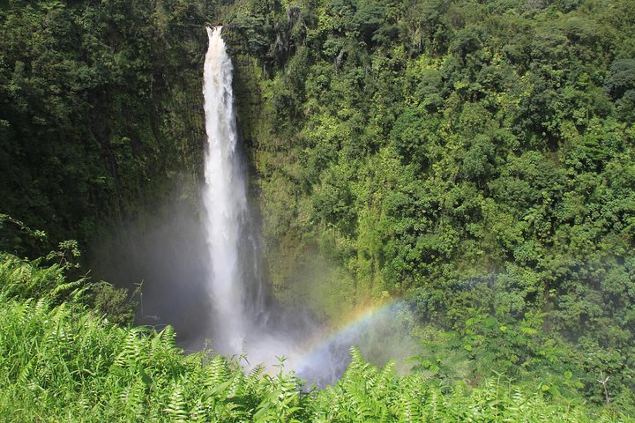 Hawaii Volcano Tour in Spanish 6 hr - Image 3