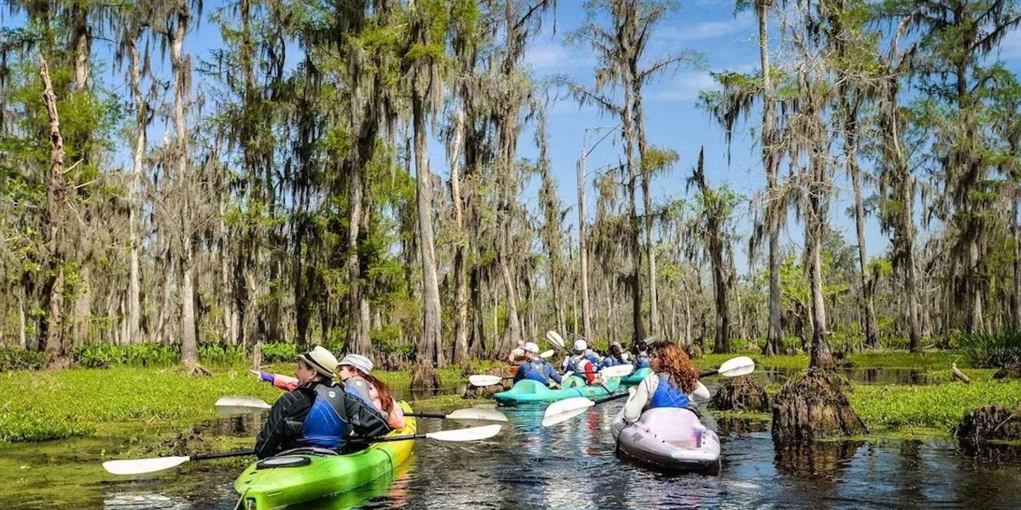 New Orleans Manchac Swamp Kayak Tour - Image 4