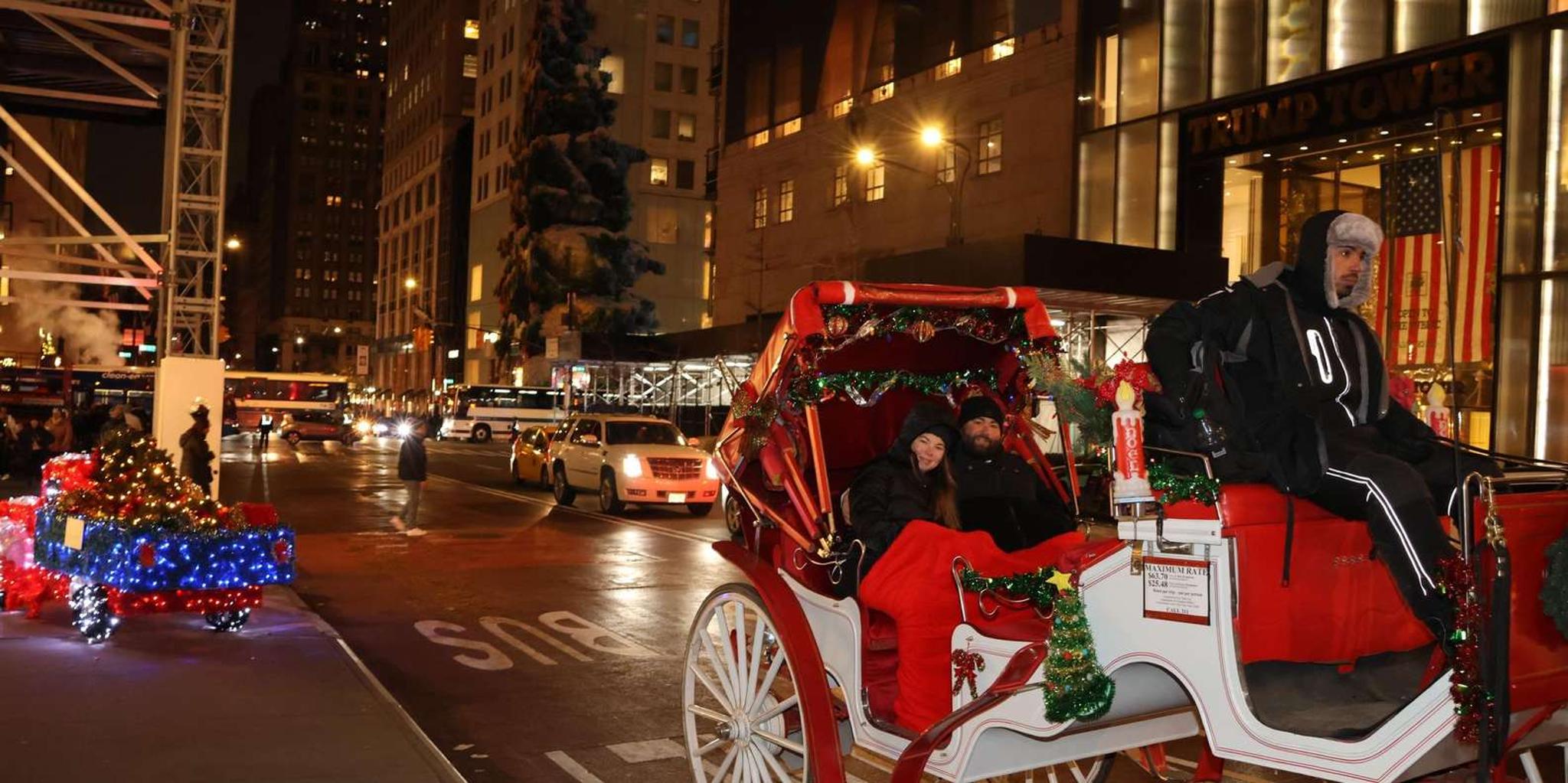 New York City Christmas Lights Carriage Ride - Image 4
