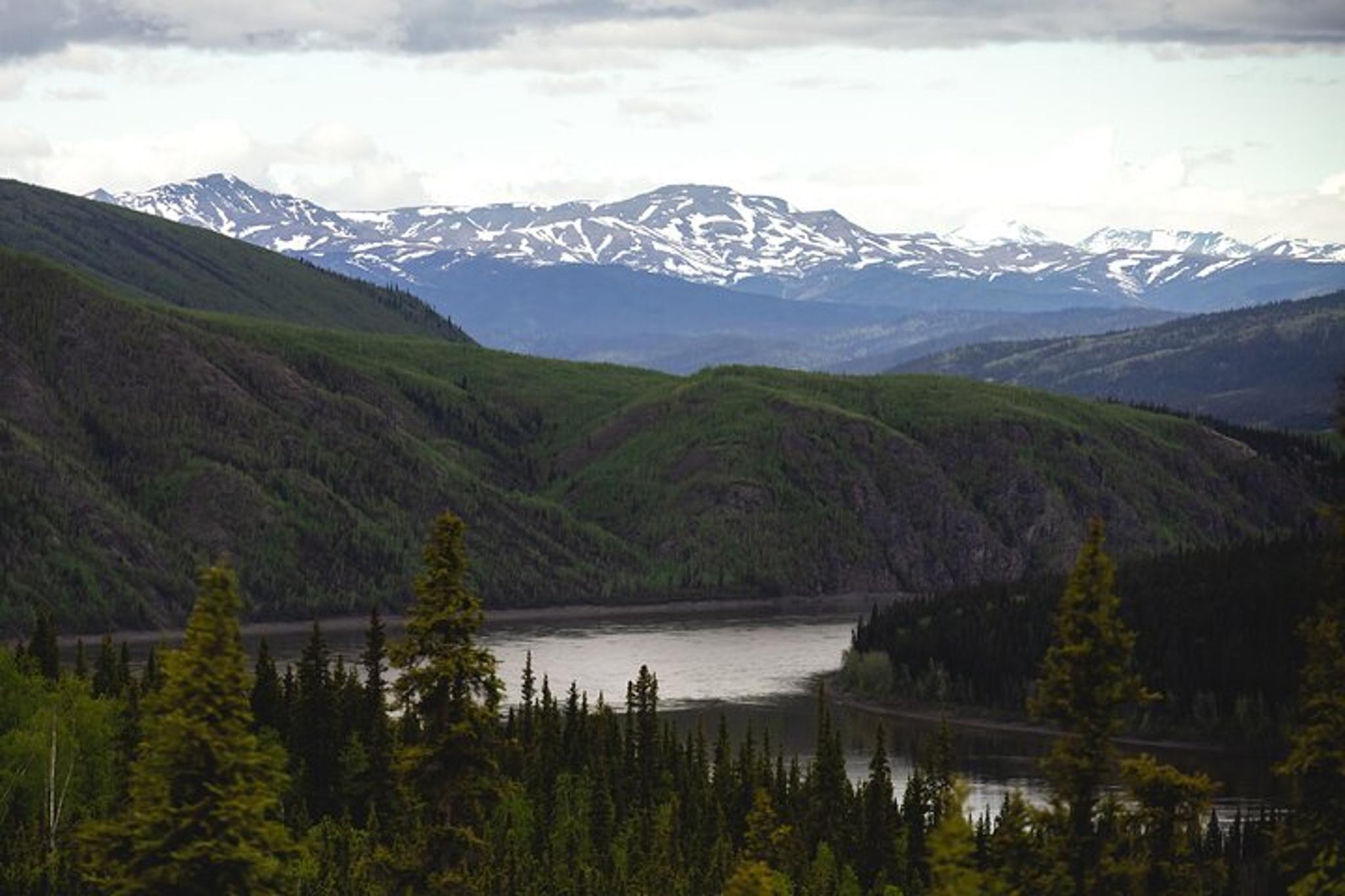 Fairbanks Arctic Circle Day Tour