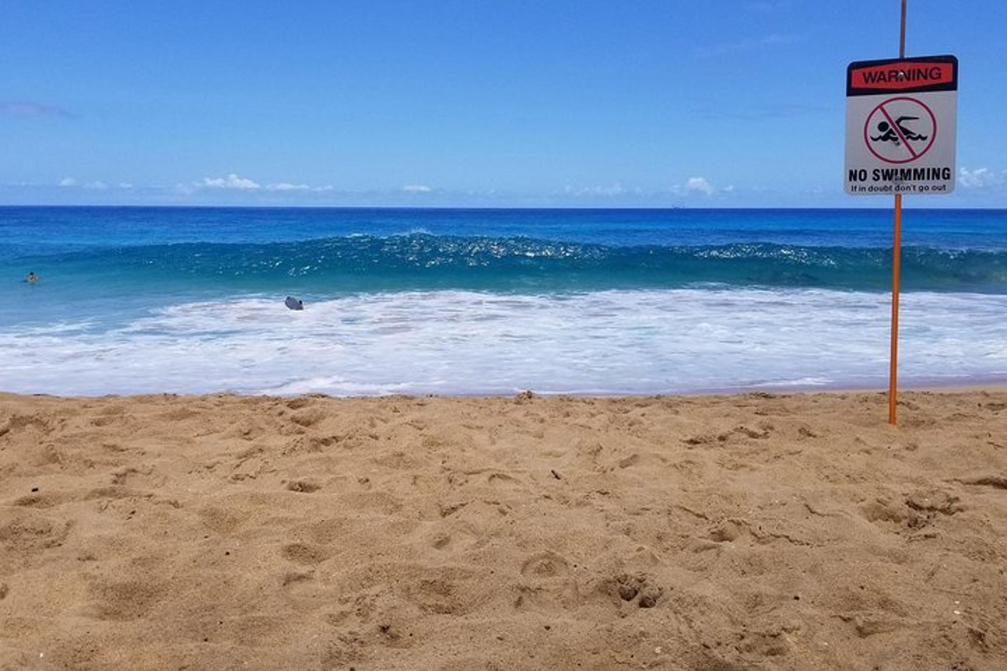 North Shore Transportation - Image 3