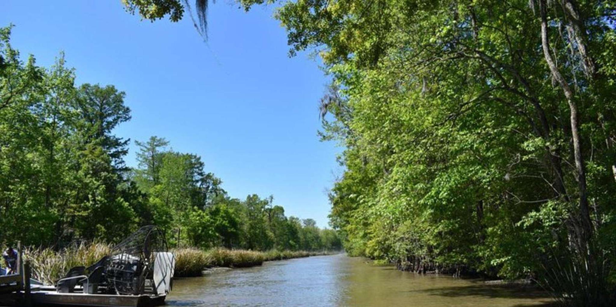 New Orleans Laura Plantation and Airboat Tour - Image 4