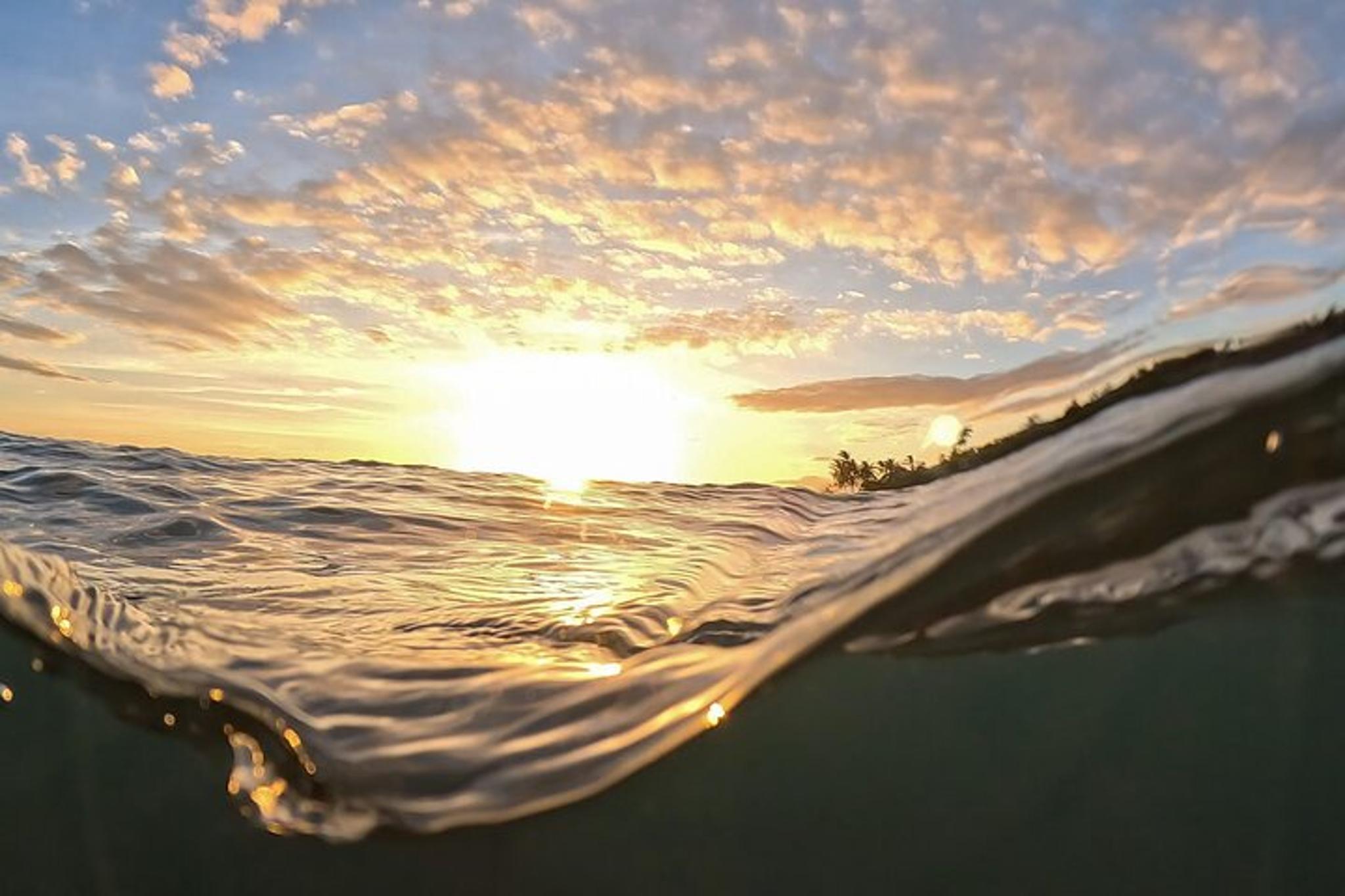 Maui Clear Kayak Snorkel Tour at Sunset - Image 3