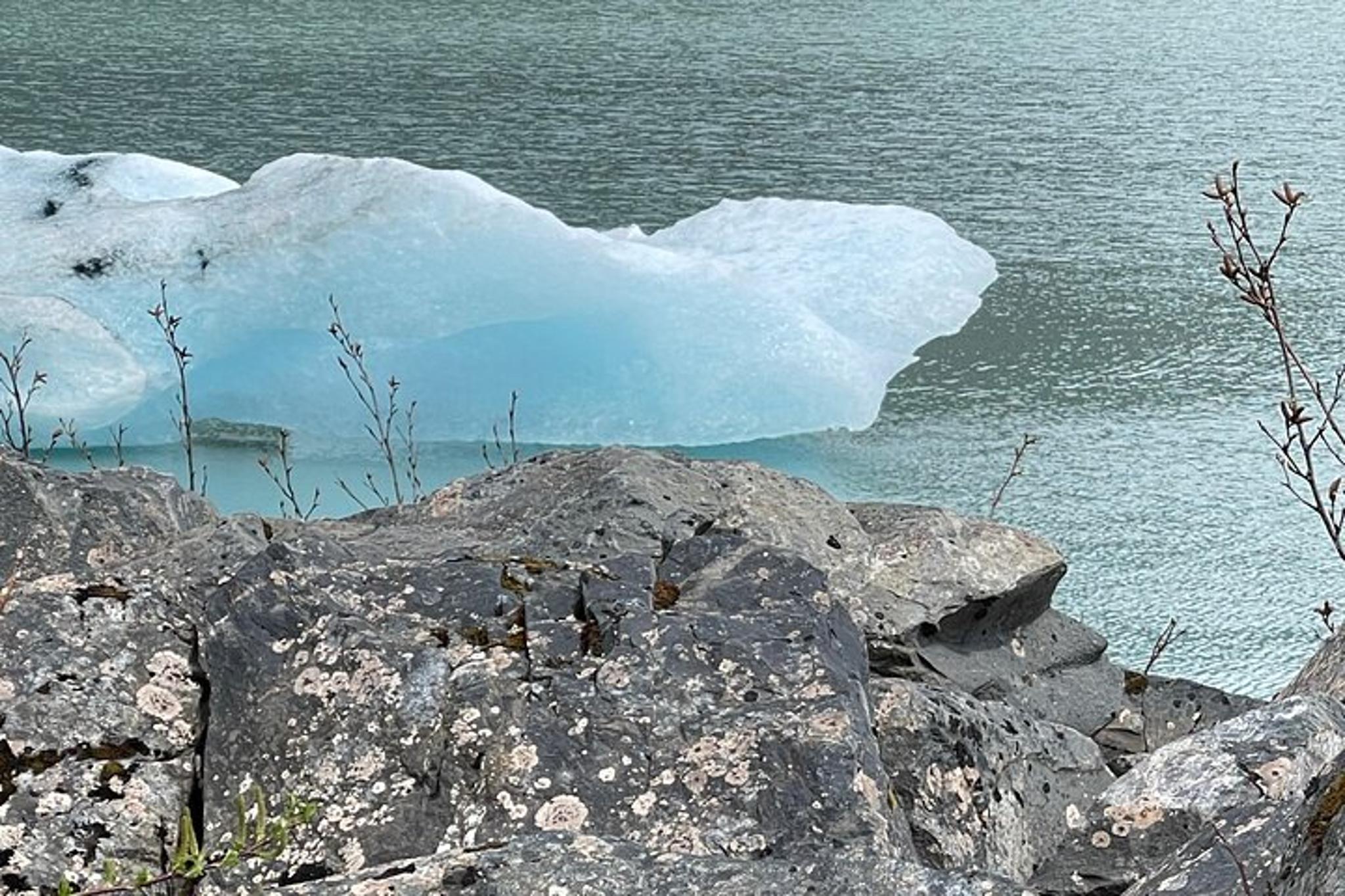 Anchorage to Seward Transport Tour - Image 6