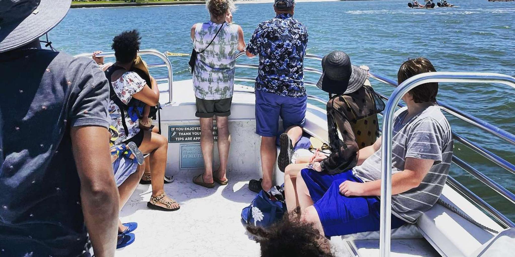 Hilton Head Dolphin Cruise and Nature Tour 1.5 hr