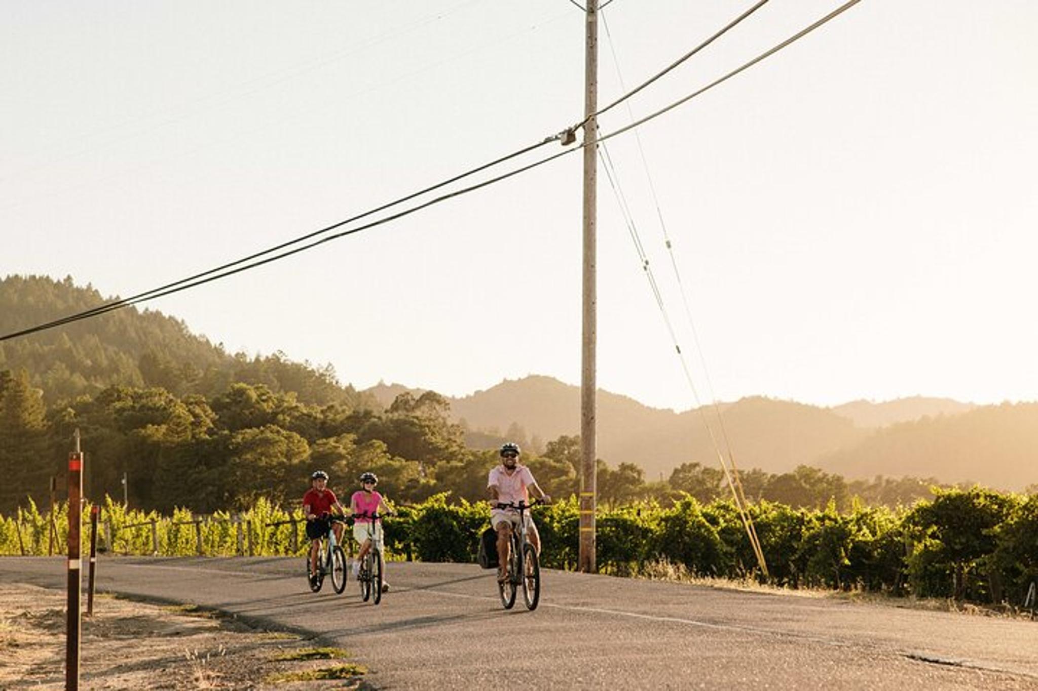 Sonoma Electric Bike Wine Tasting Tour with Lunch - Image 3