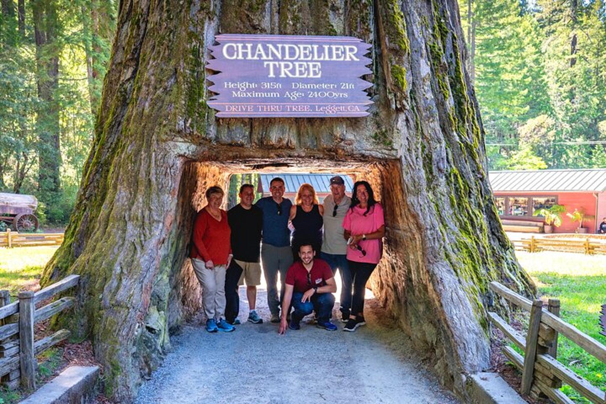 San Francisco Avenue of the Giants Redwood Tour - Image 1
