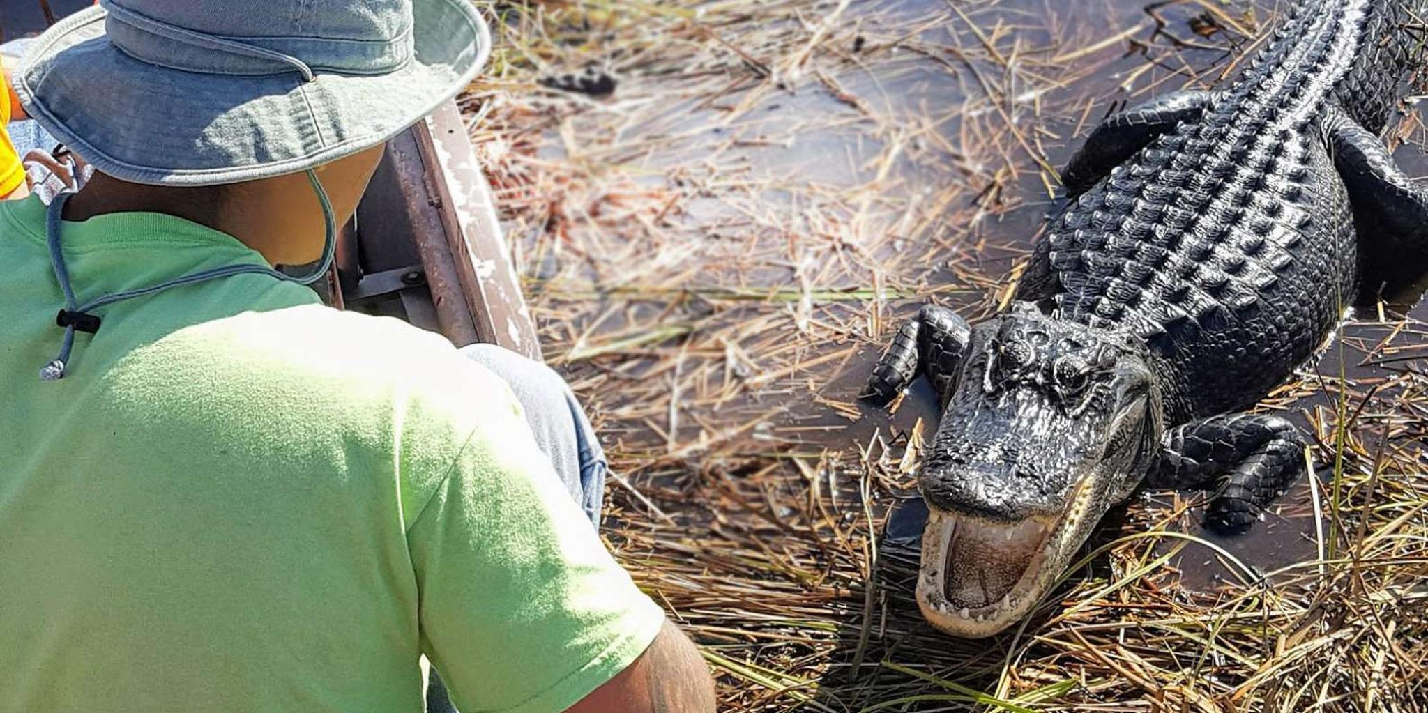 Fort Lauderdale Everglades Night Airboat Tour - Image 2