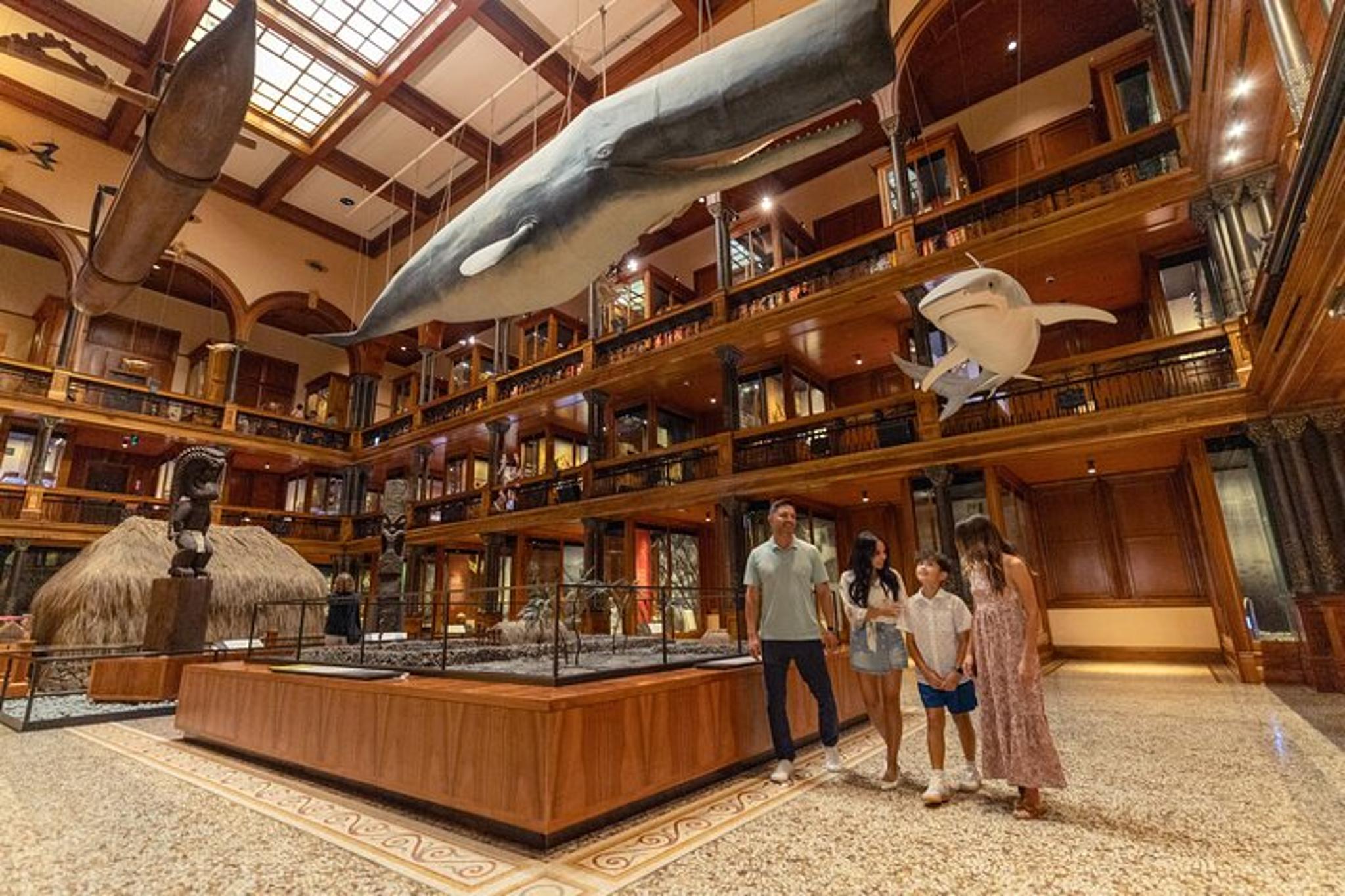 Honolulu Museum Admission - Image 2