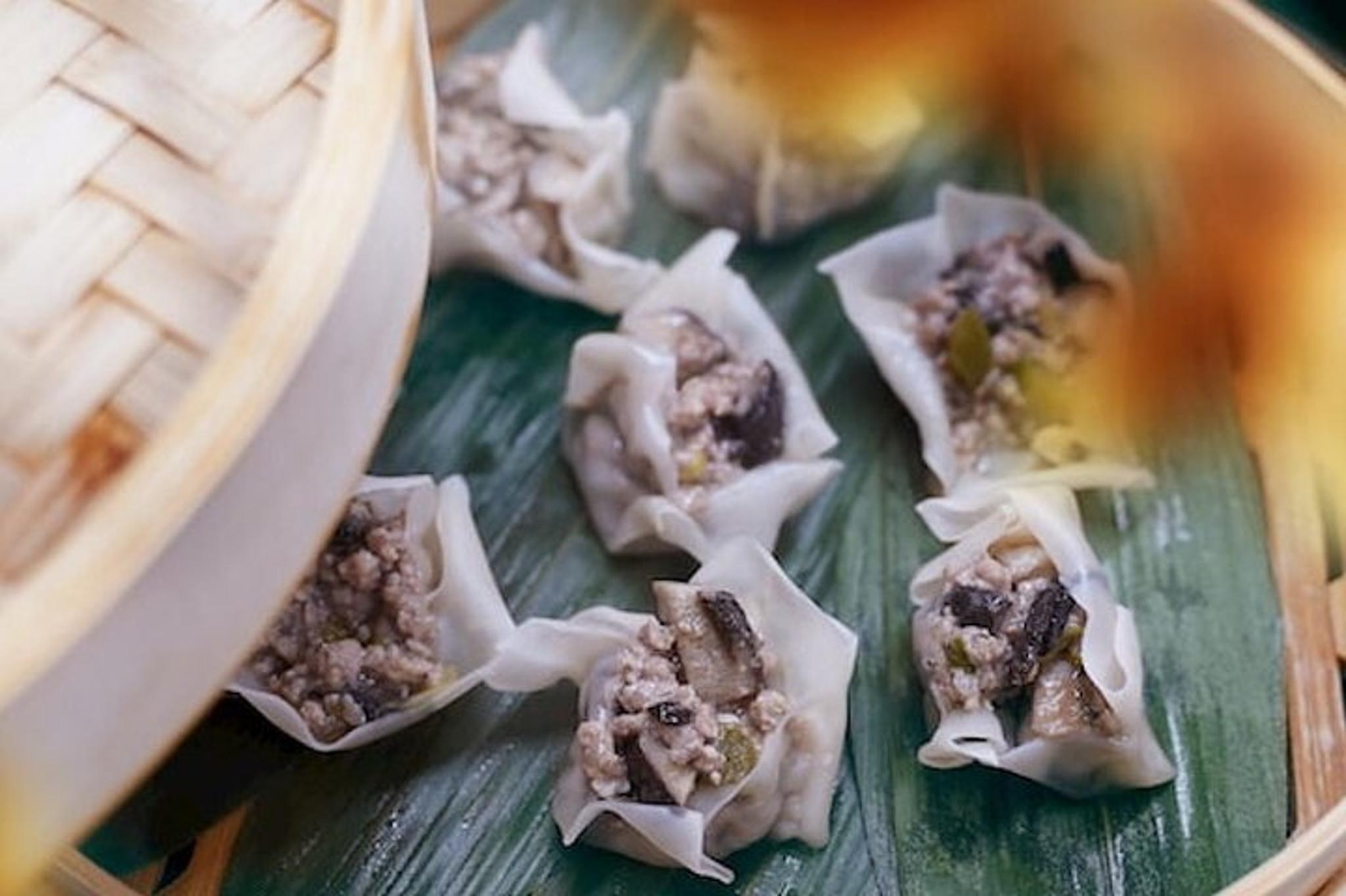 New York City Dumpling Cooking Class - Image 4