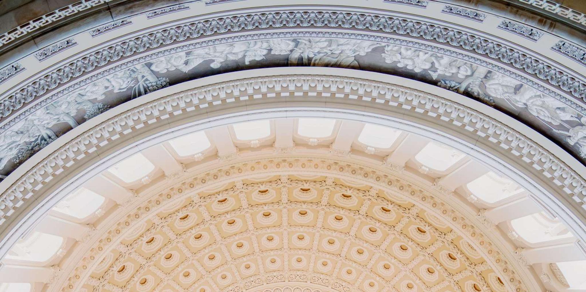Washington DC Capitol Hill Guided Tour 3 hr - Image 3