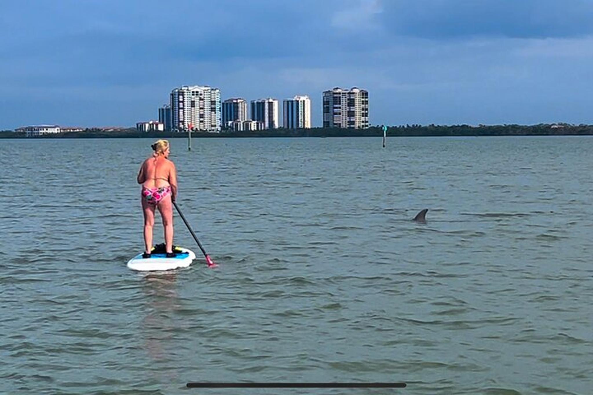 Bonita Springs Standup Paddle Board EcoTour 2 hr - Image 3