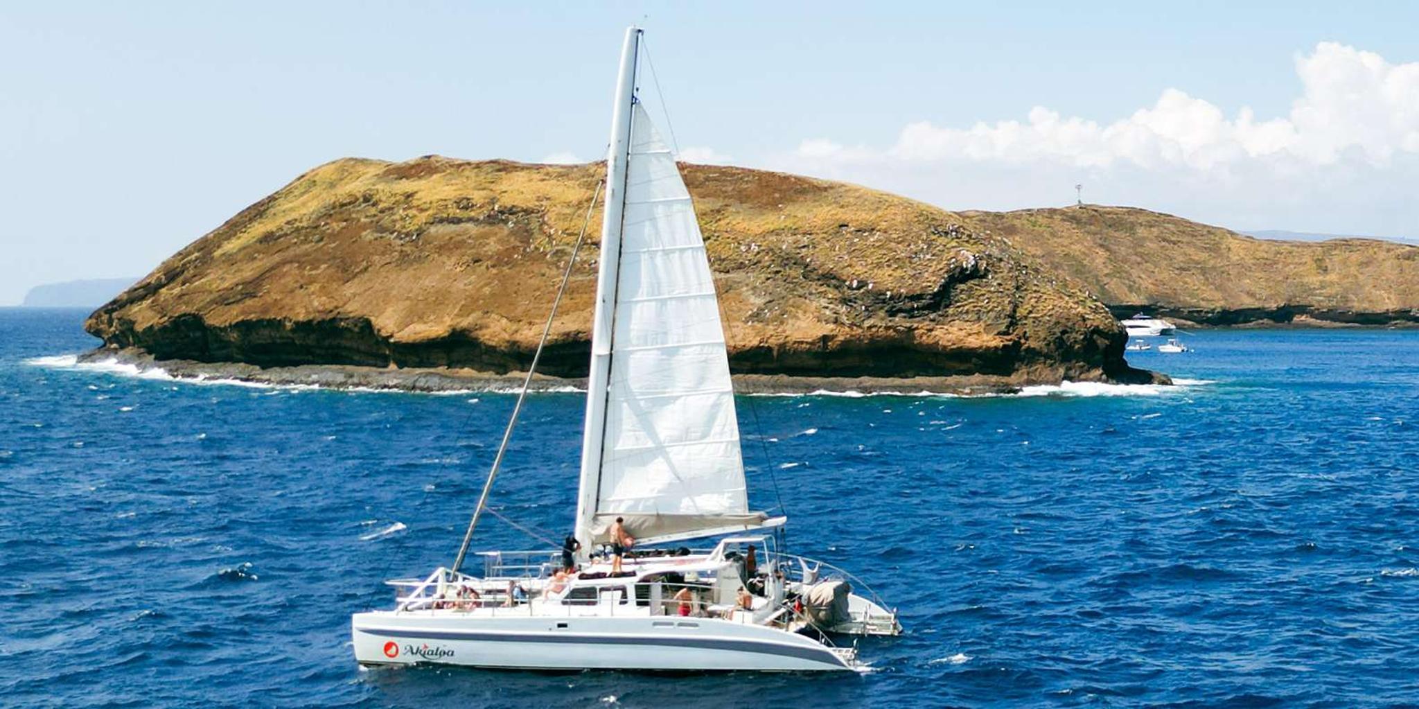 Maui Molokini Snorkel and Performance Sail - Image 4