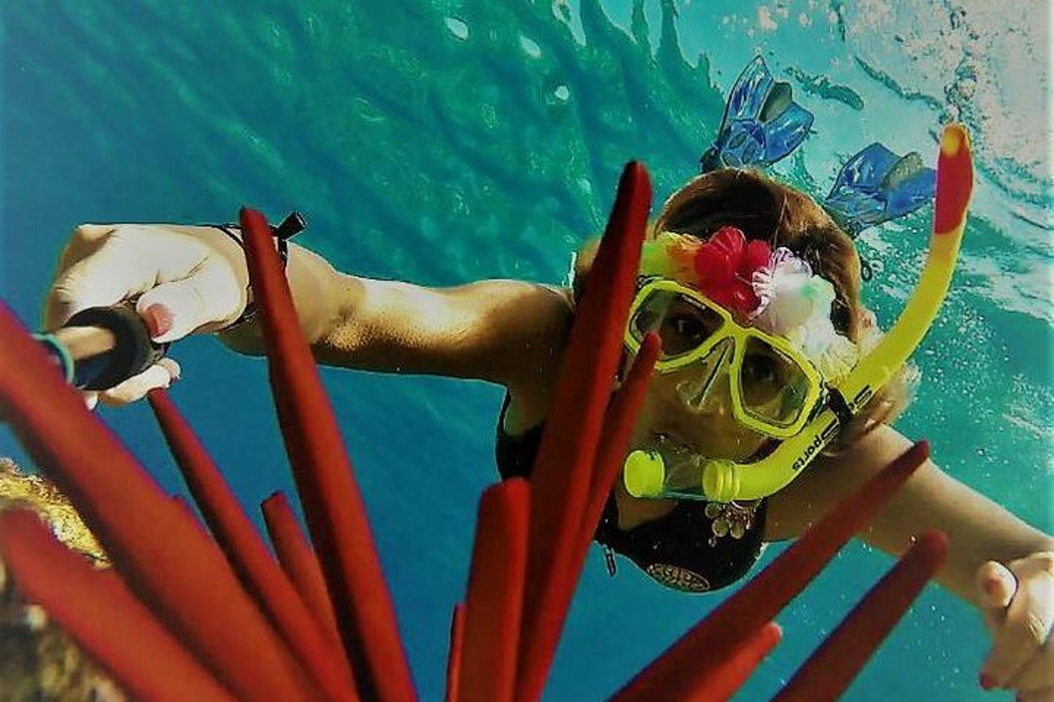 Maui Snorkel Adventure: Molokini Crater and Turtle Cove - Image 2