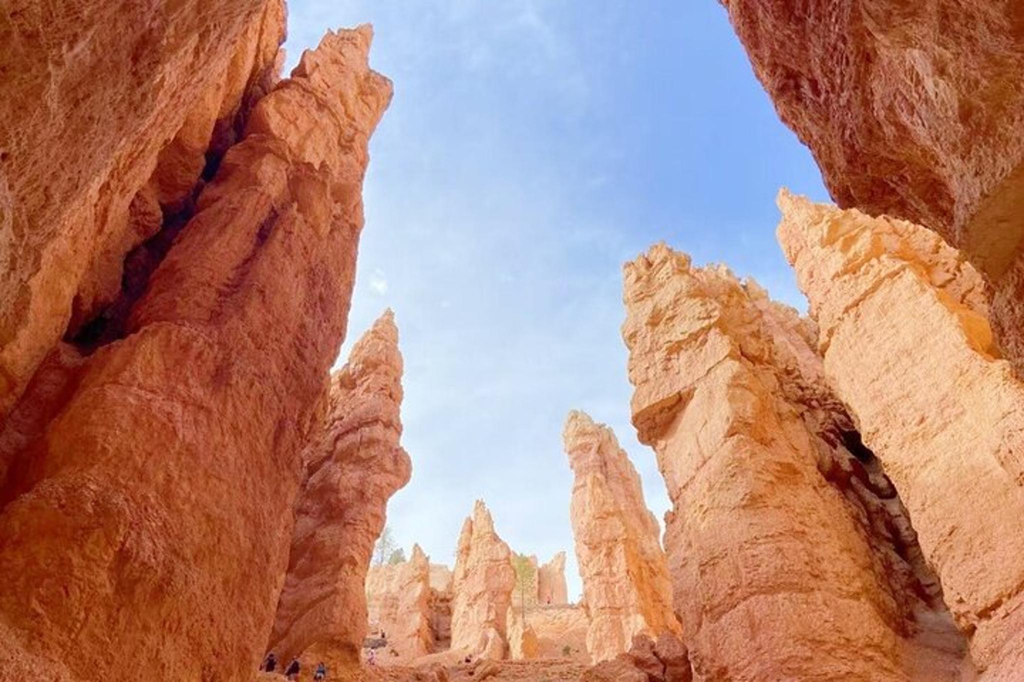 San Francisco to Las Vegas and National Parks Tour 6 Days - Image 4