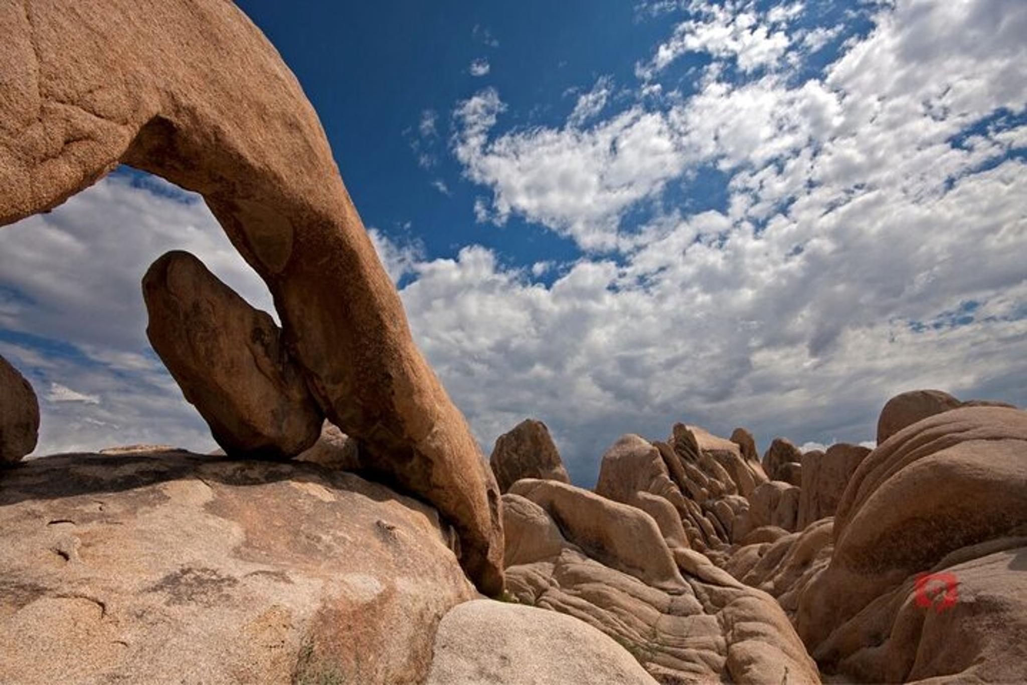 Joshua Tree National Park Self-Guided Driving Audio Tour