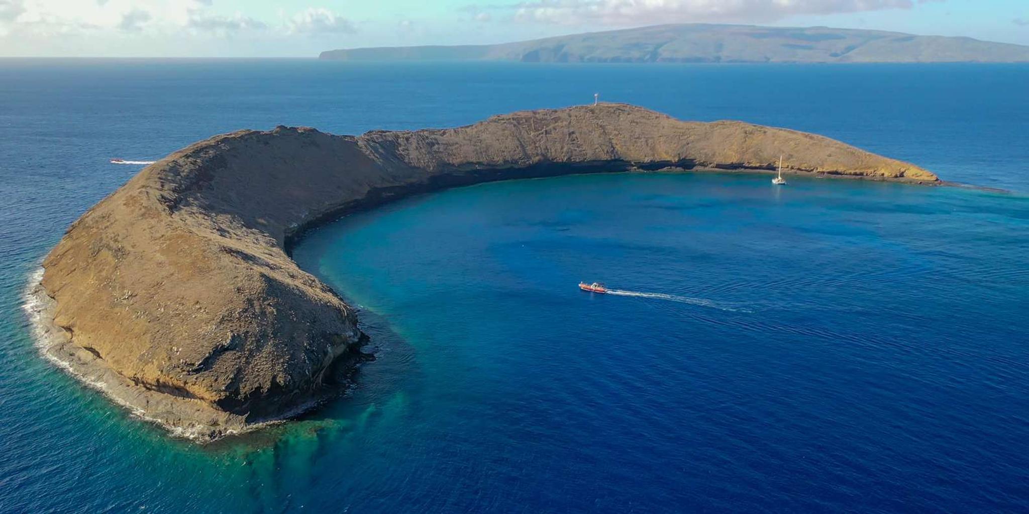 Kihei Molokini Crater and Turtle Town Snorkeling 3 hr