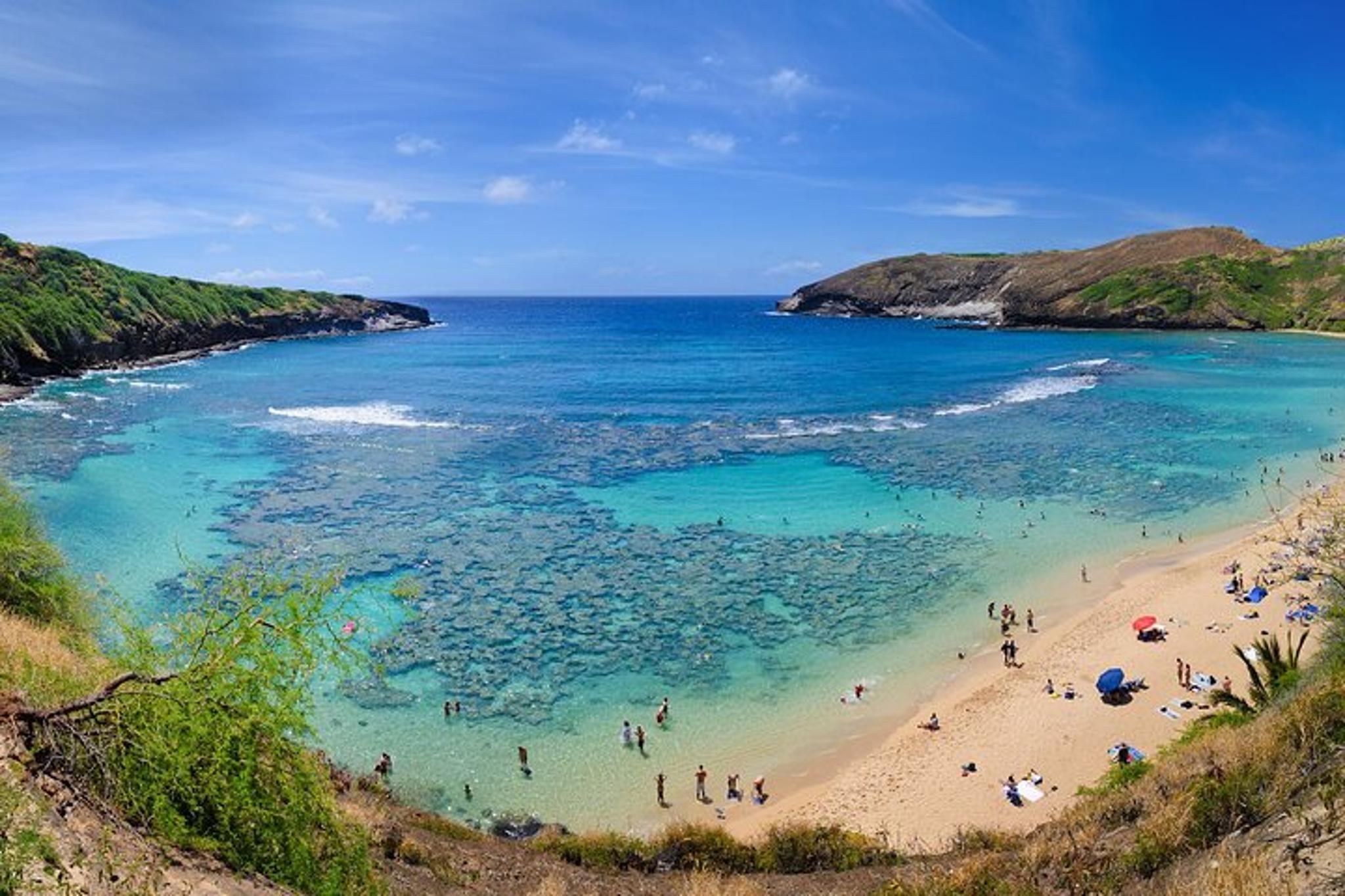 Oahu Circle Island Sights & Bites Tour - Image 6