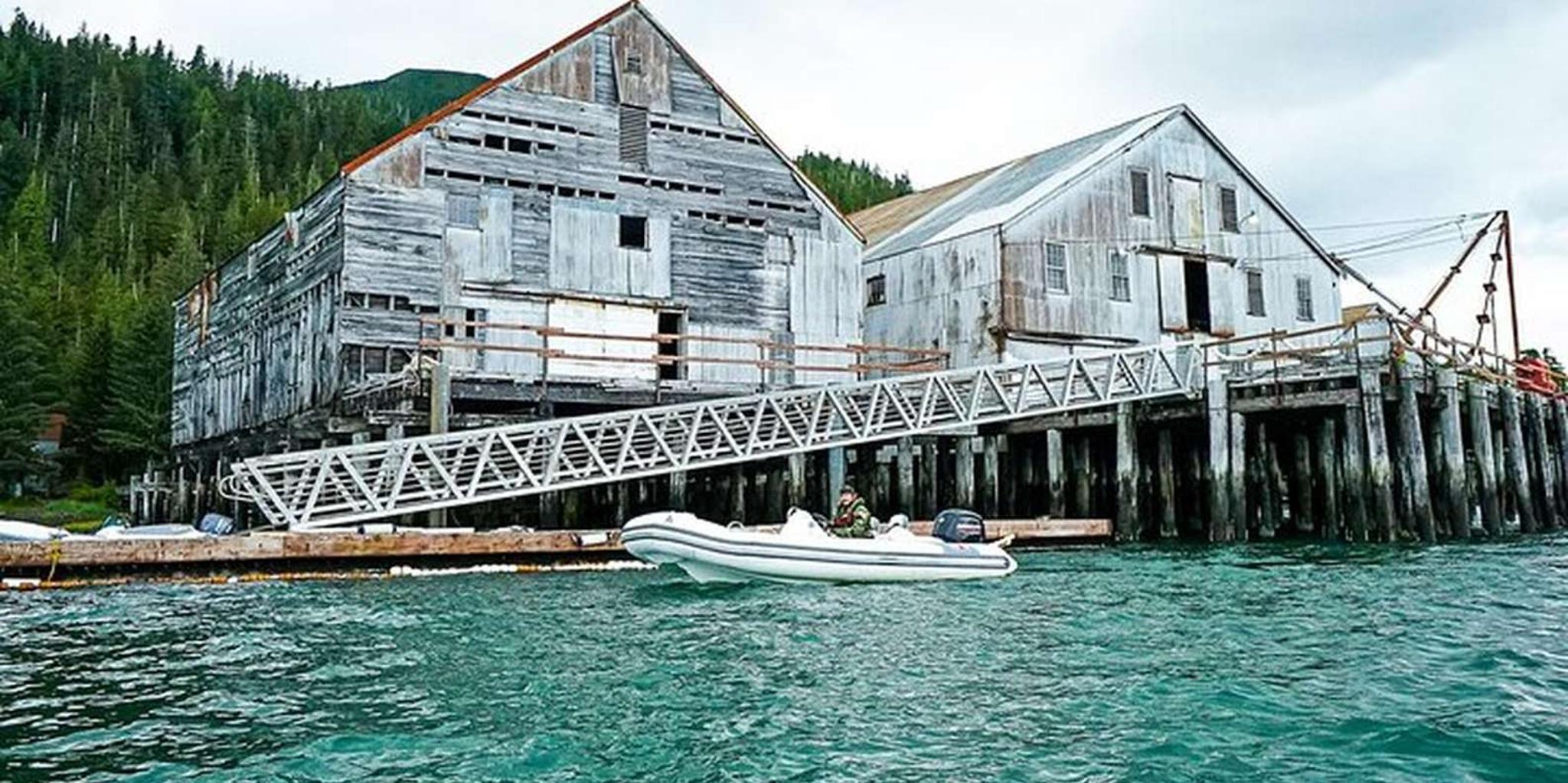 Ketchikan Zodiac Adventure & Scenic Fjords Cruise - Image 3