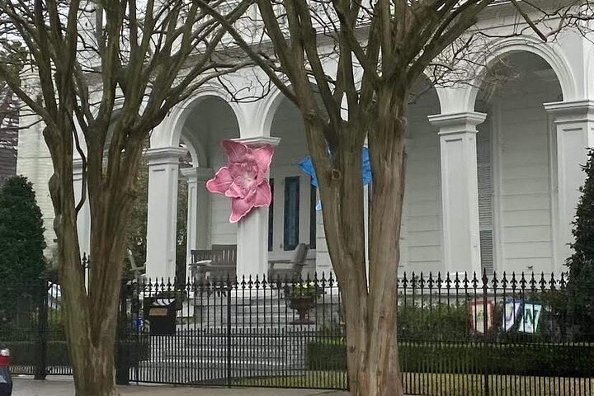 New Orleans Garden District History and Architecture Tour - Image 6