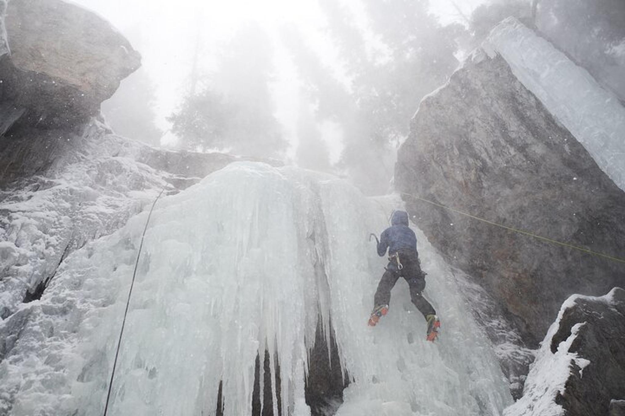 Denver Photoshoot Experience - Image 6
