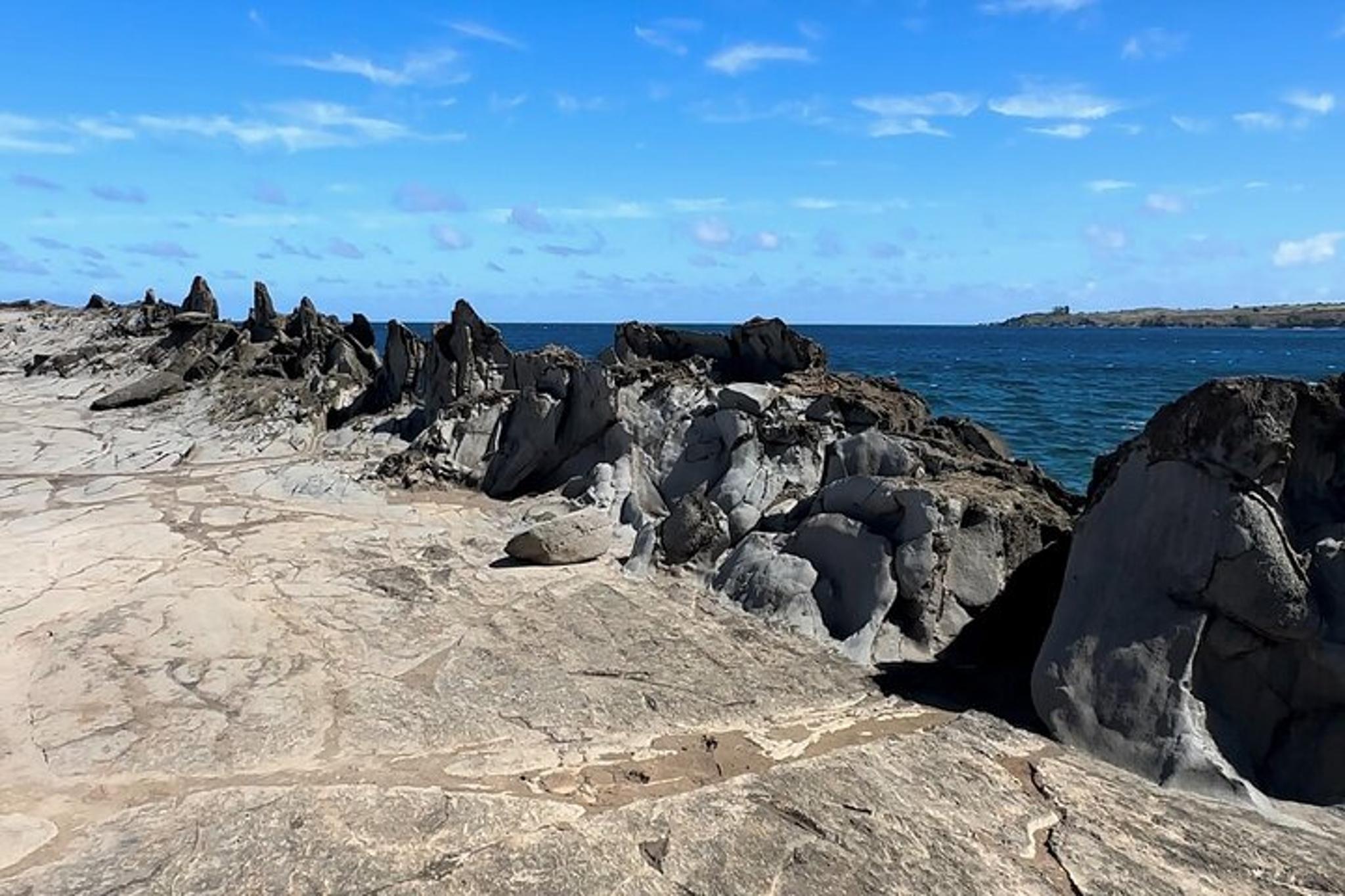 Maui Coastline Open-Air Jeep Tour - Image 4