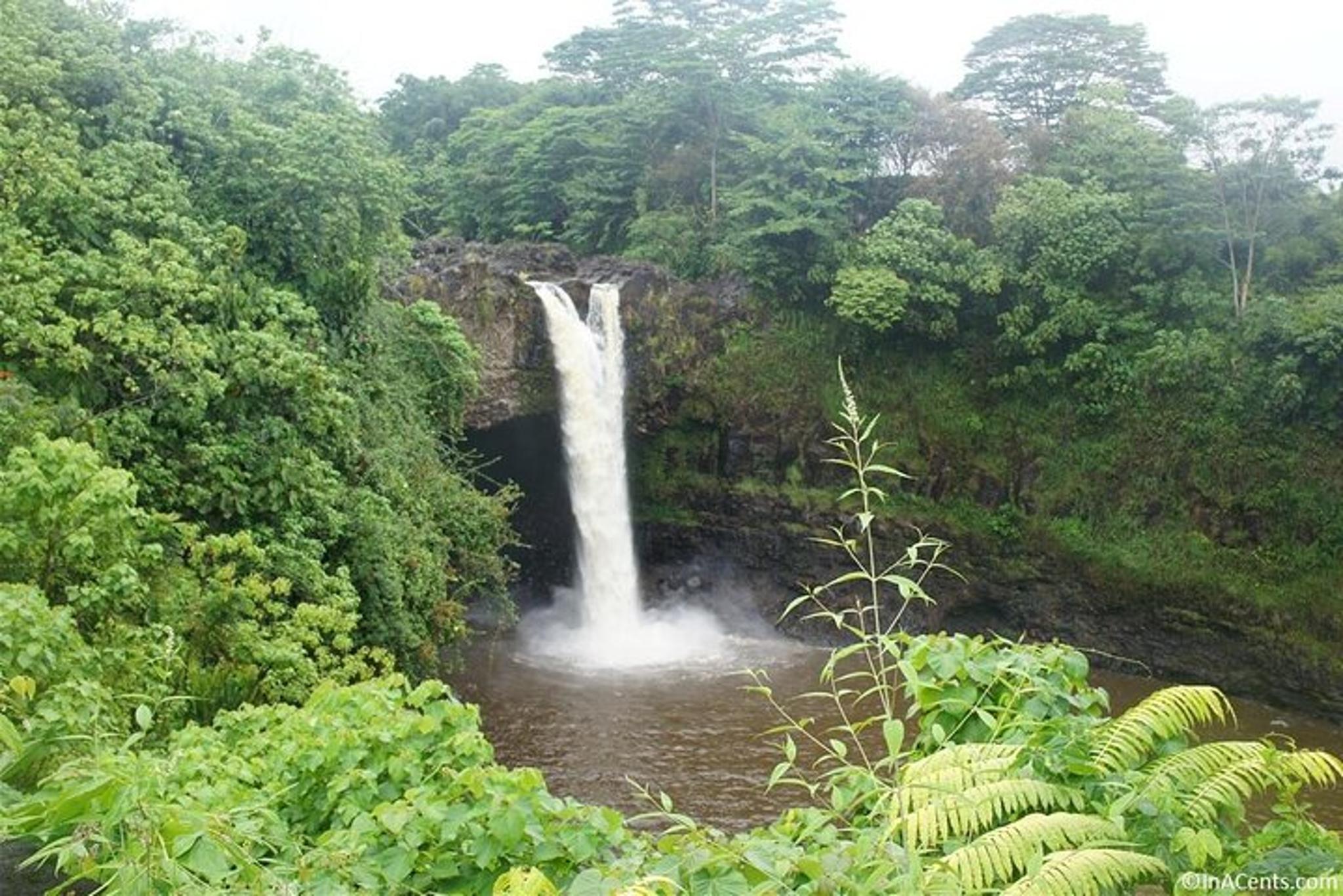 Kona Volcanoes and Waterfalls Tour - Image 4