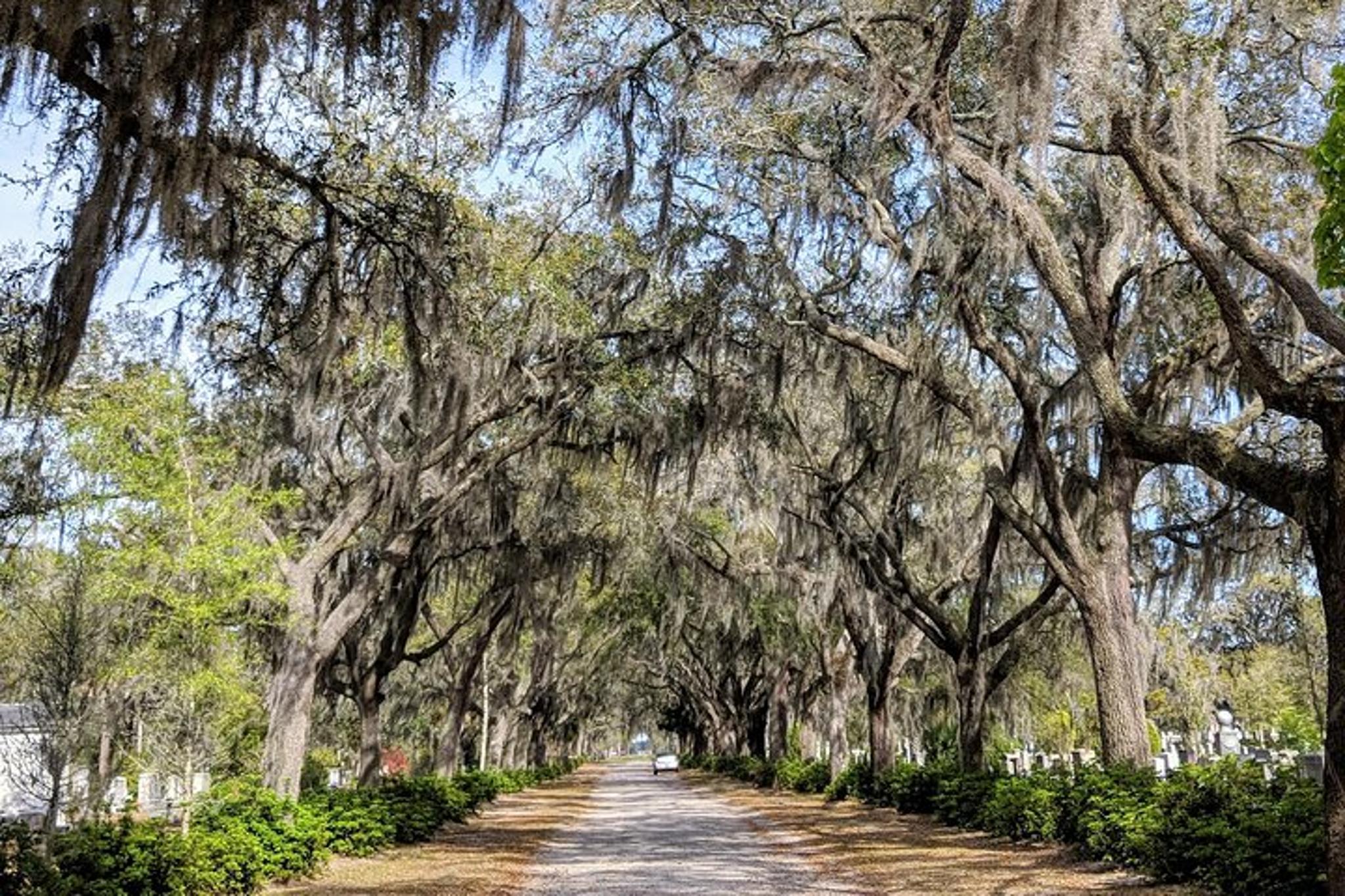 Savannah Historic District and Islands Private Tour - Image 6
