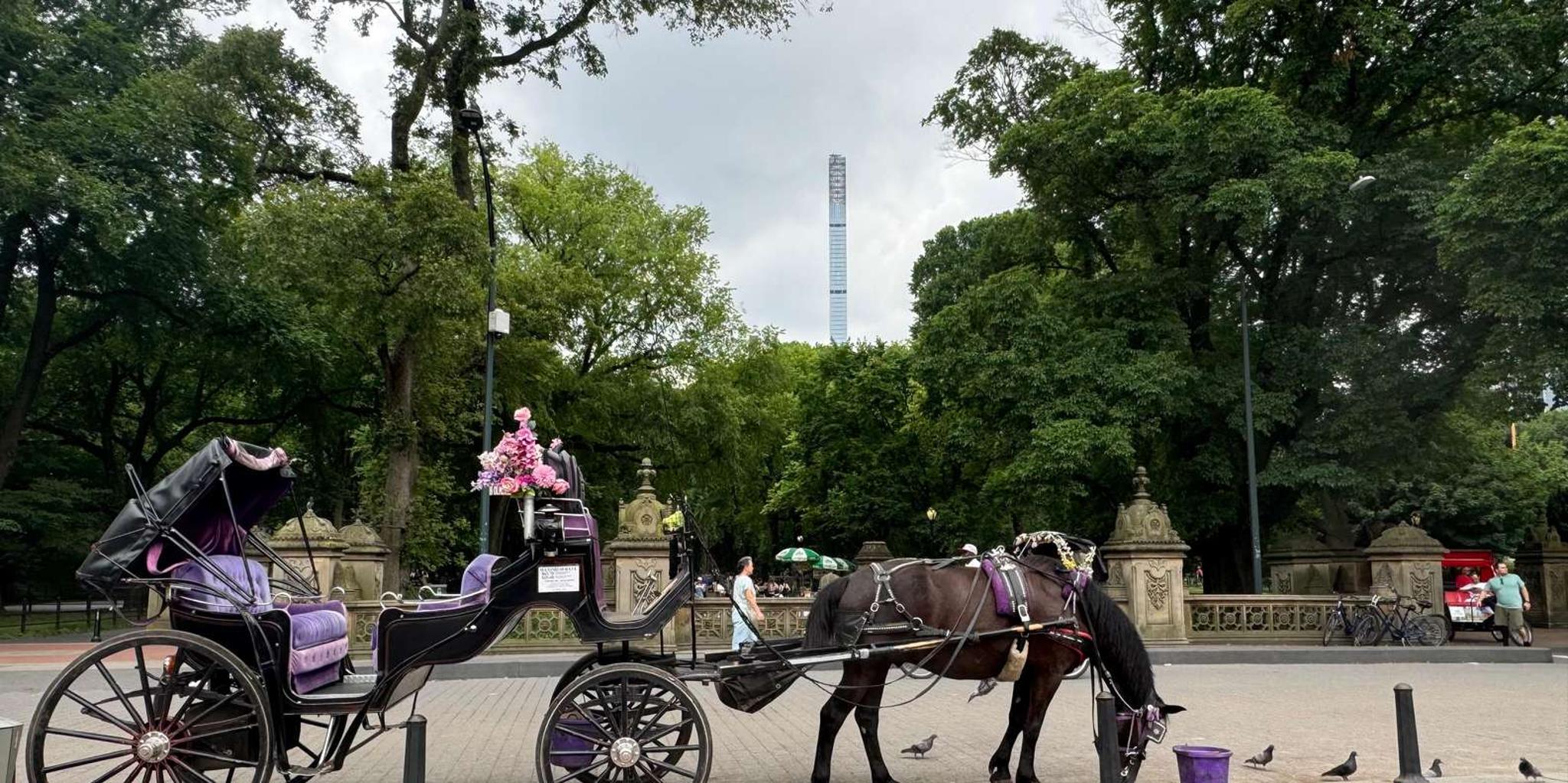 New York Central Park Horse Carriage Ride - Image 4