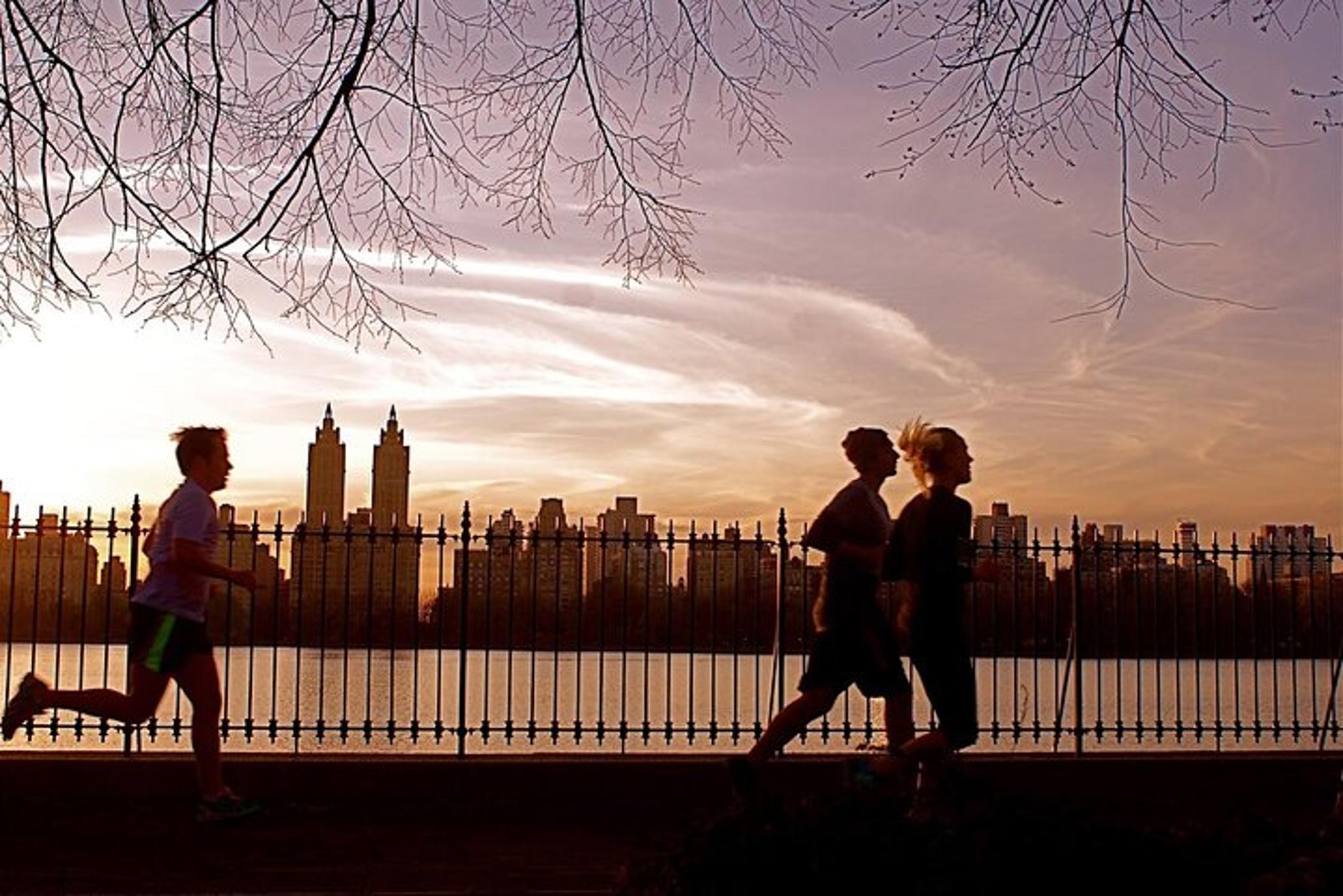 New York Central Park Running Tour - Image 5