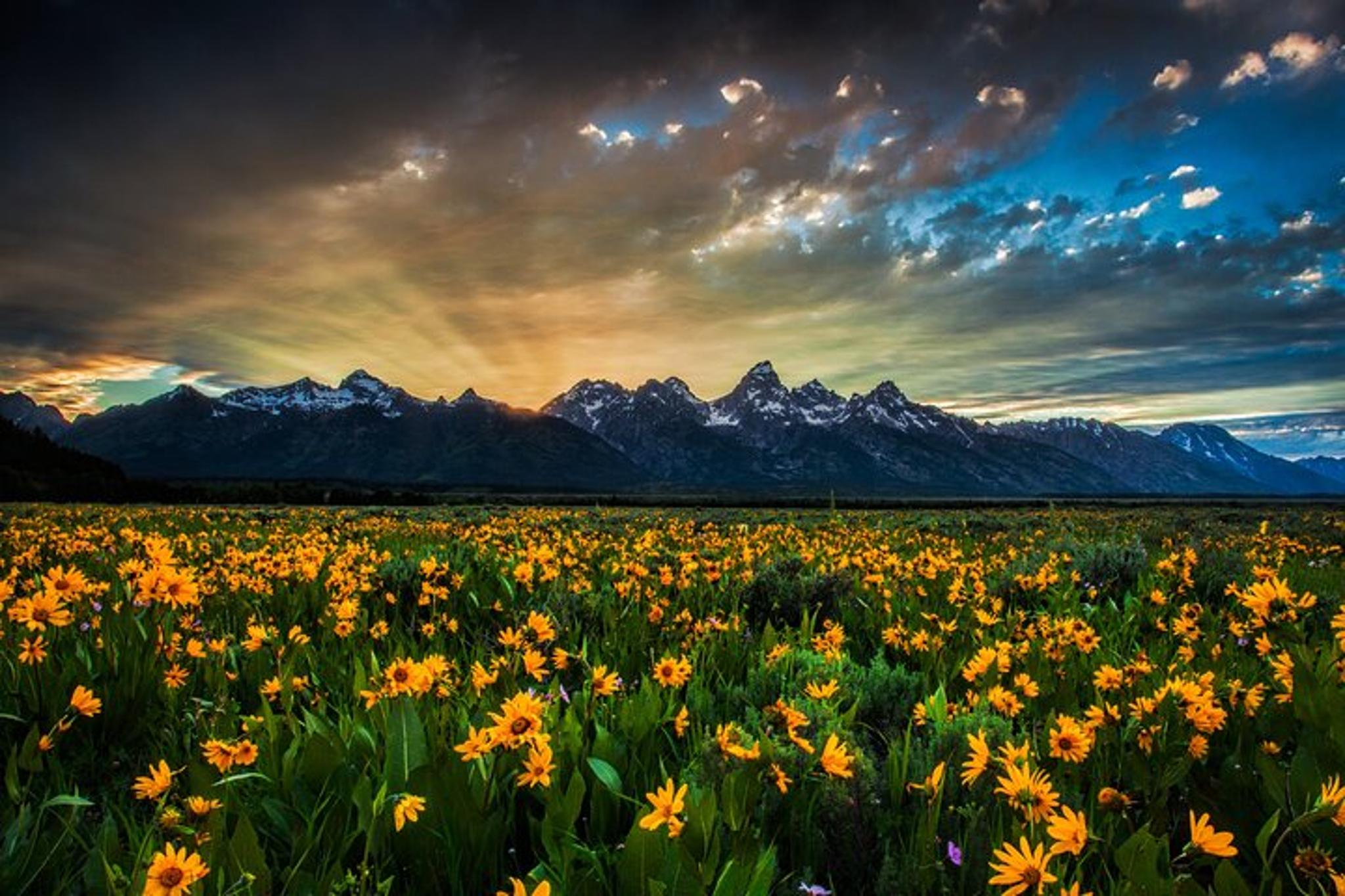 Grand Teton National Park Private Tour - Image 6